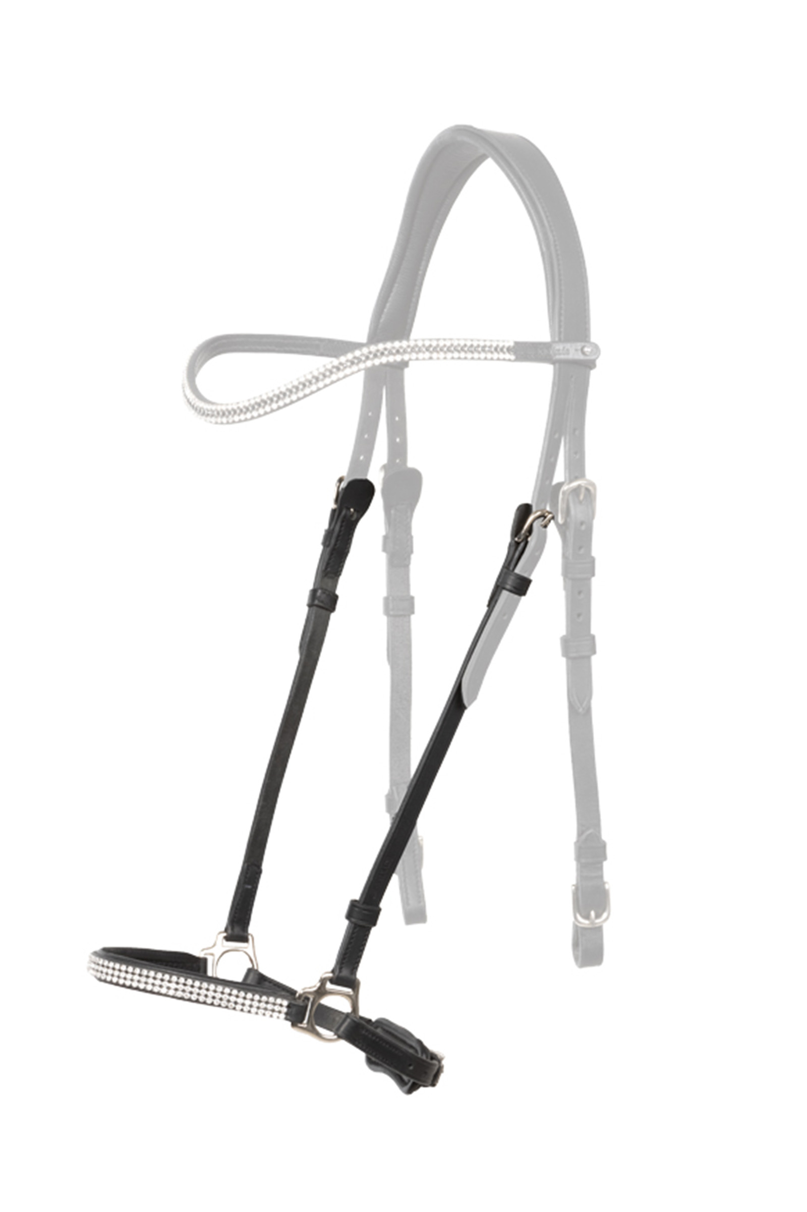 Kavalkade Hvítur Muserola caída de Aradis Brida islandesa