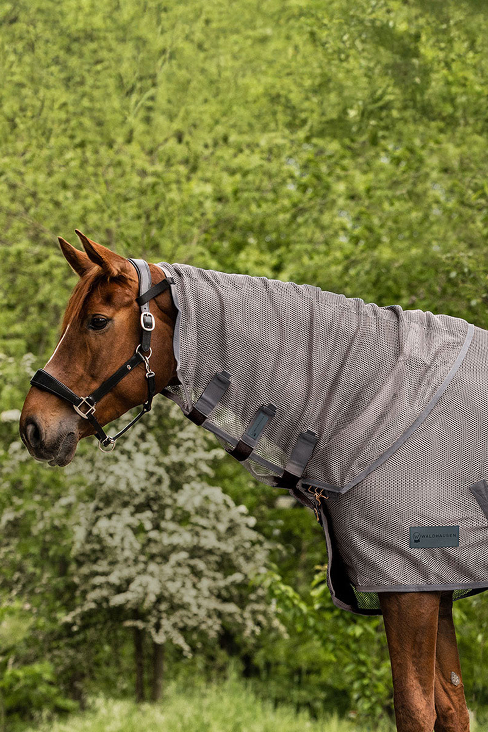 Waldhausen Comfort protector de cuello antimoscas