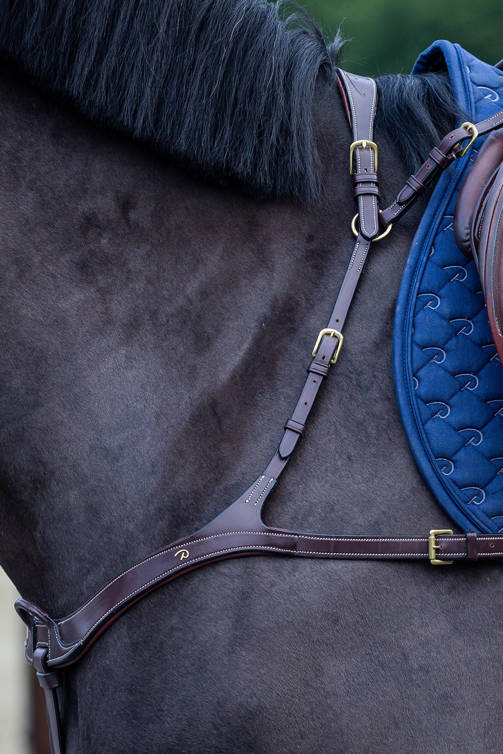 Dy'on D Collection pechopetral anat&oacute;mico