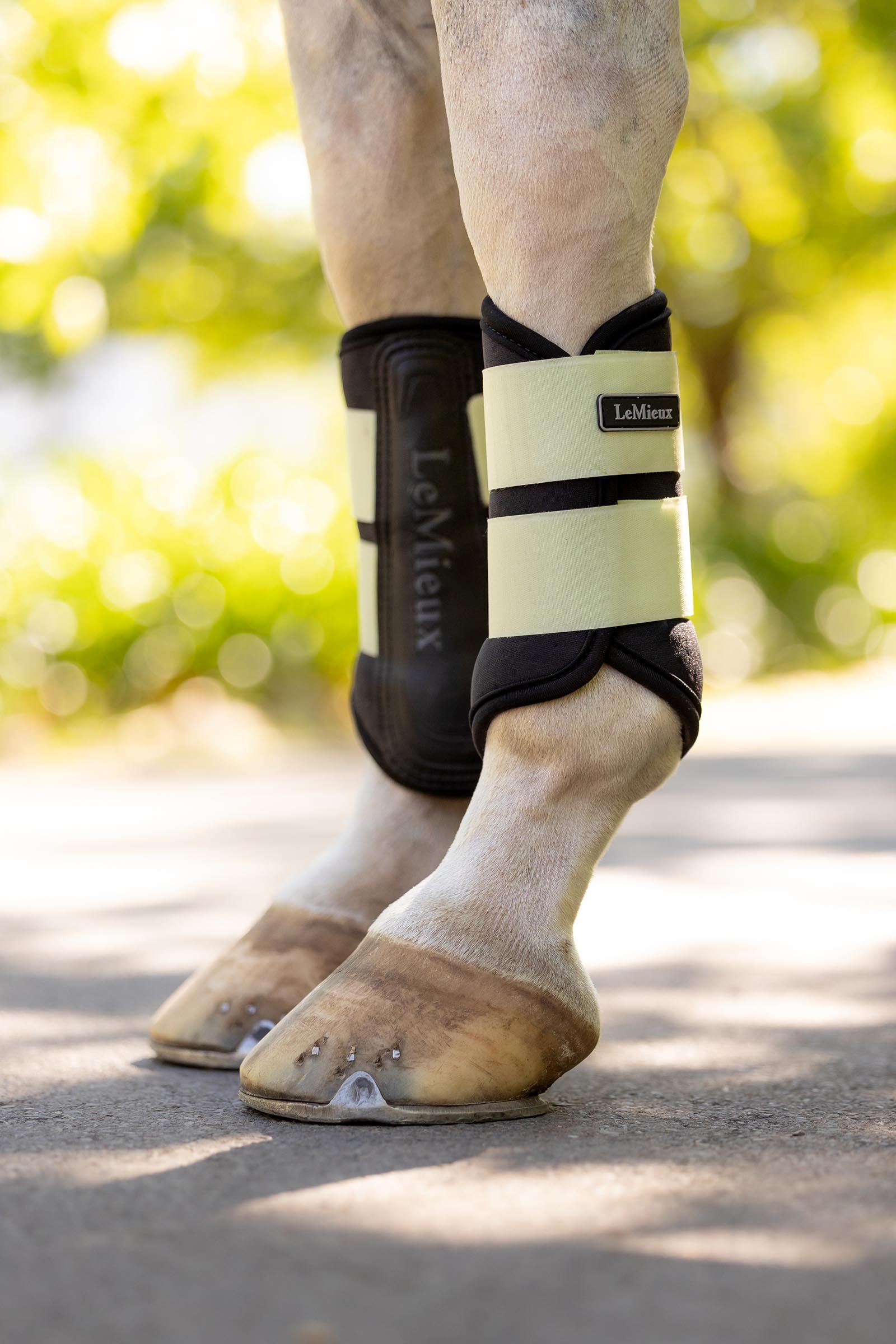 LeMieux Air-Tek Grafter protectores