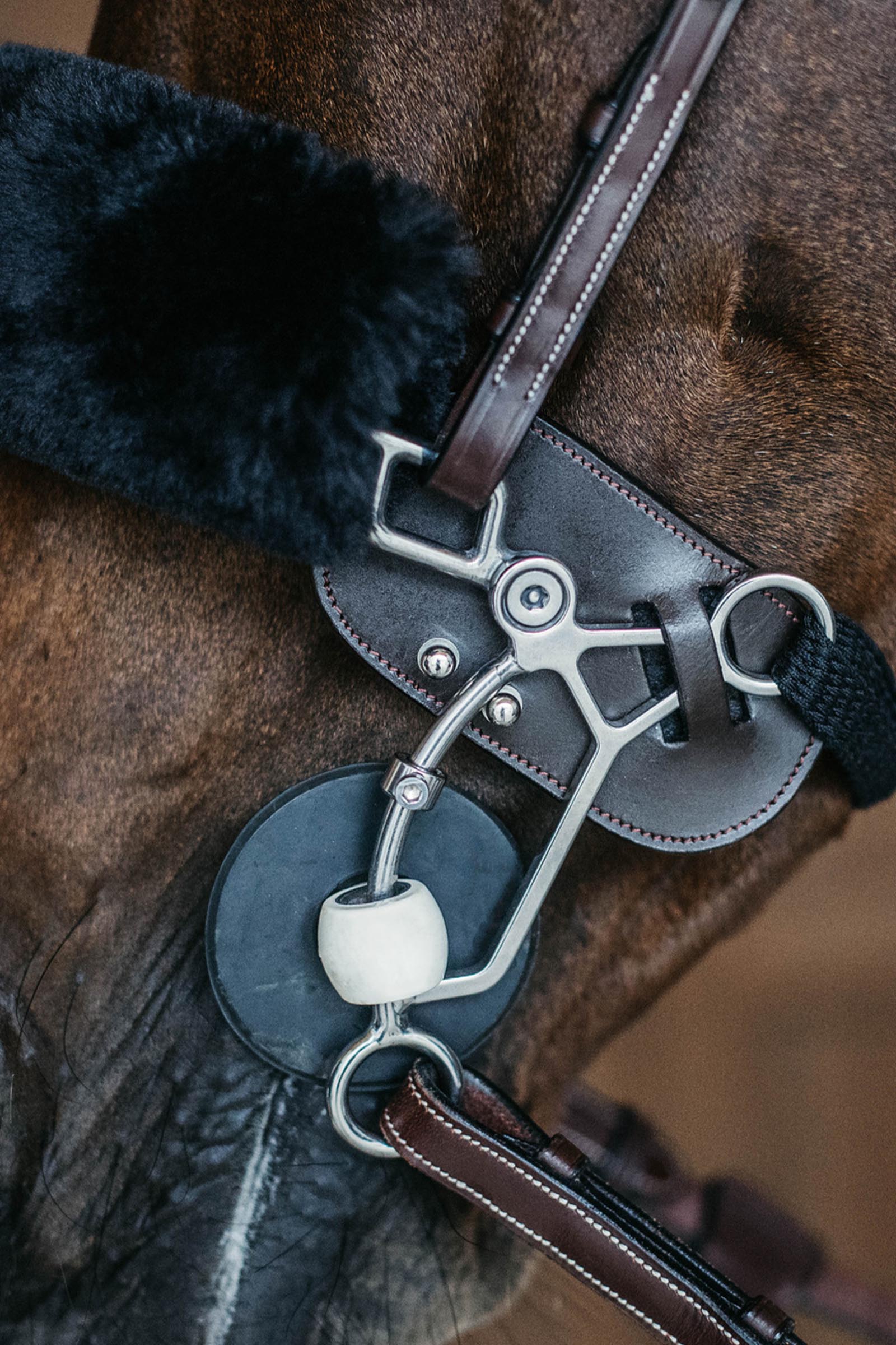 Dy'on protector hackamore  