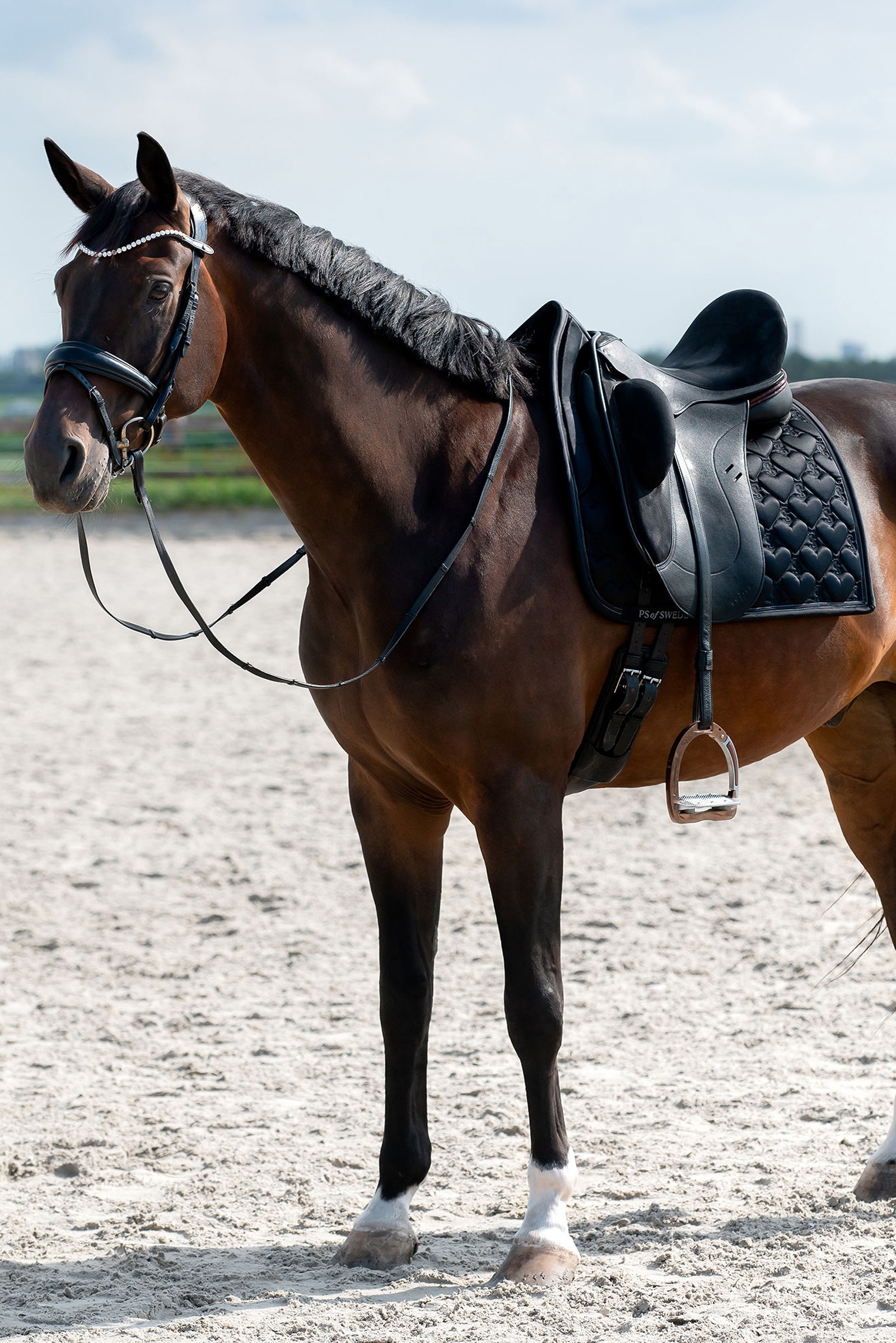 Mantilla de doma con corazón PS of Sweden
