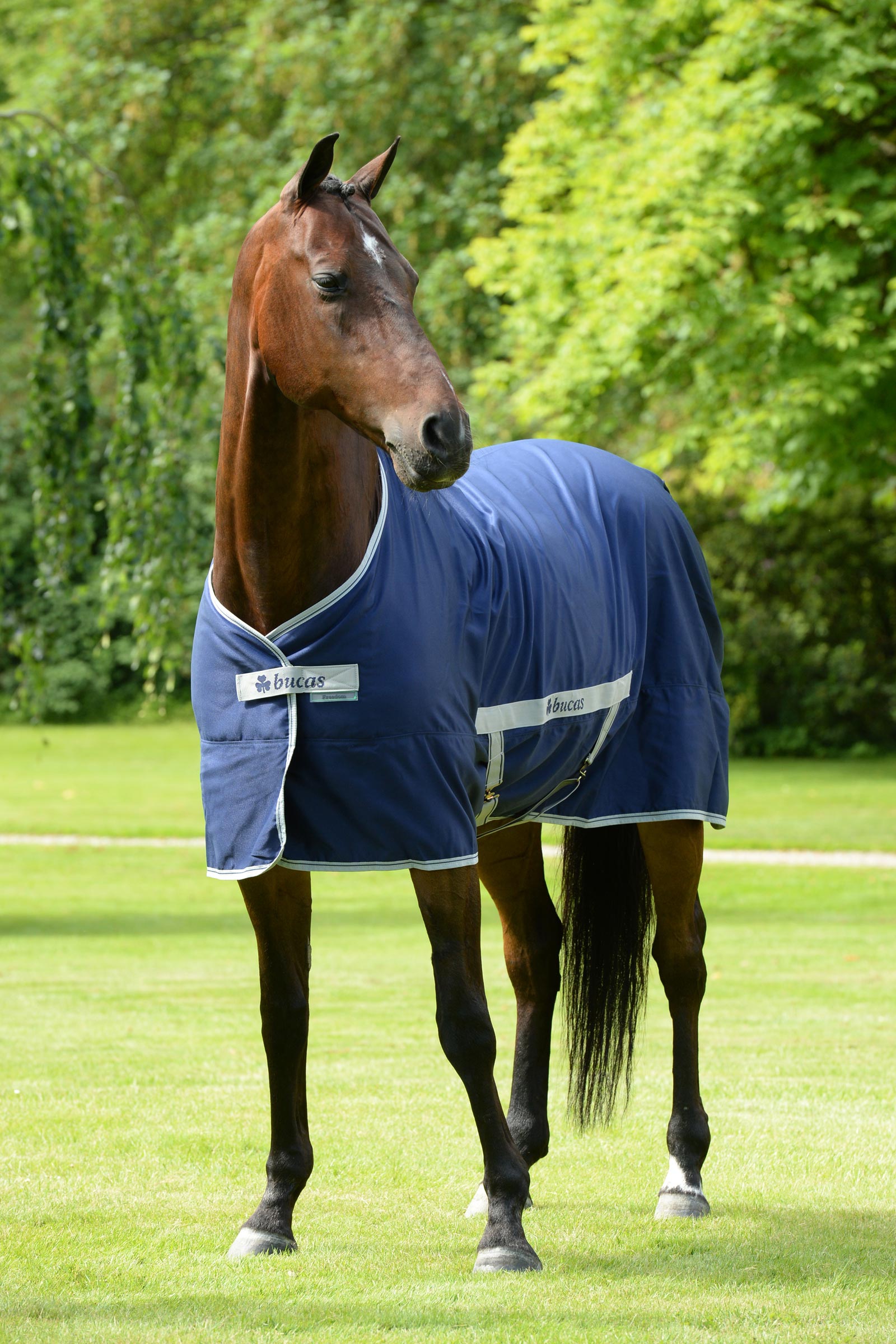 Bucas Freedom Twill Manta de Cuadra, 0 g