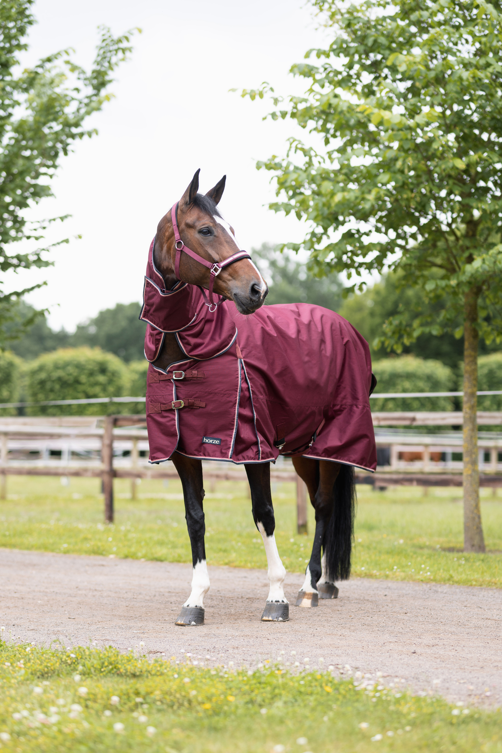 Burgundy Brown: Weathering the Rain and Cold in Style