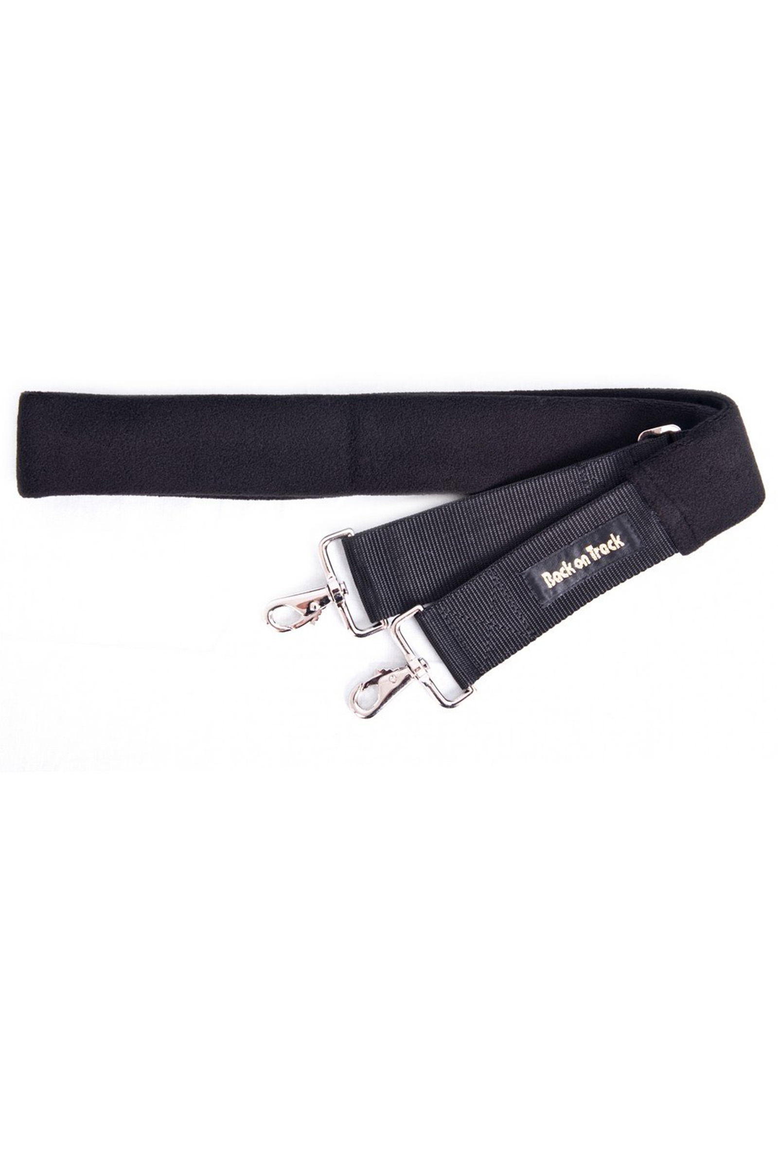 Arneses Back on Track