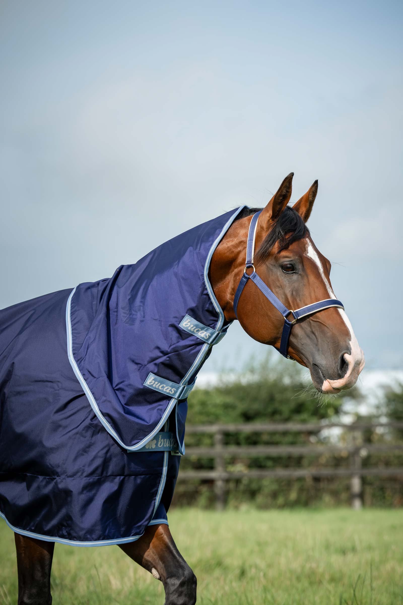 Bucas Atlantic Exclusive Rug & Neck, 150 g