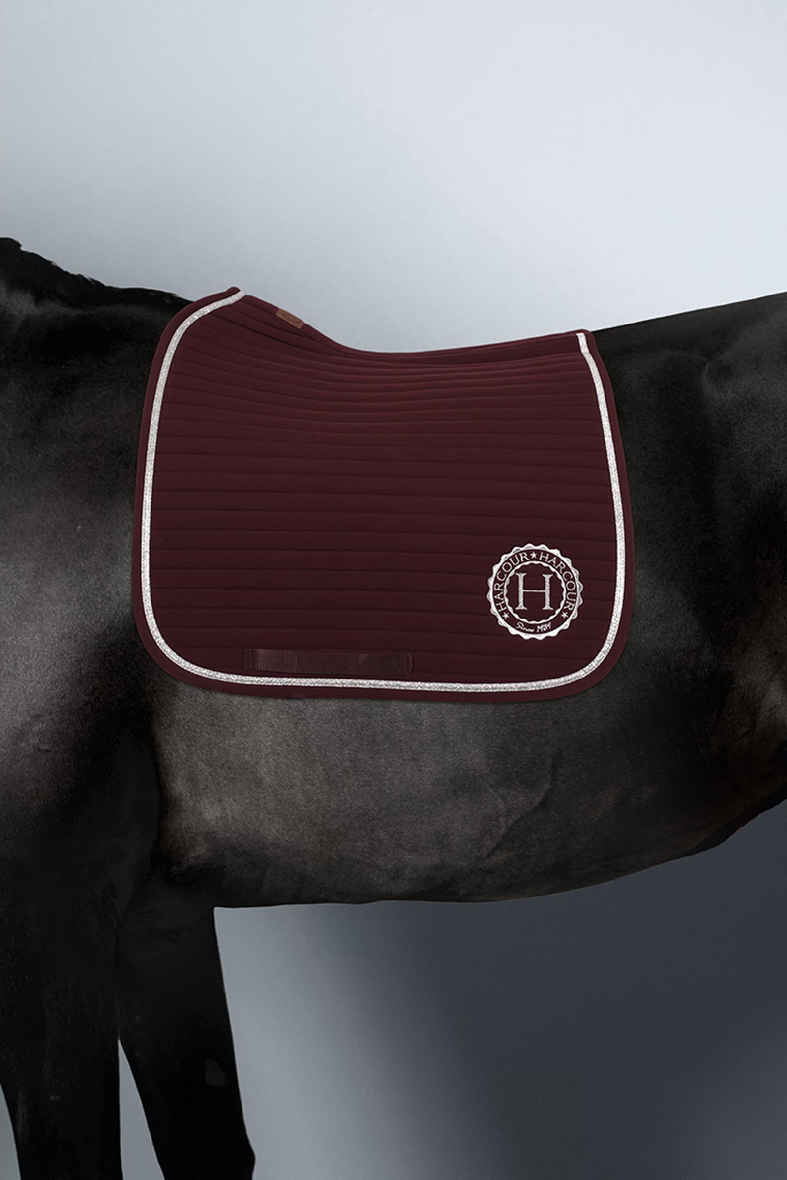 Aubergine  Harcour Karembar mantilla Rider Pony