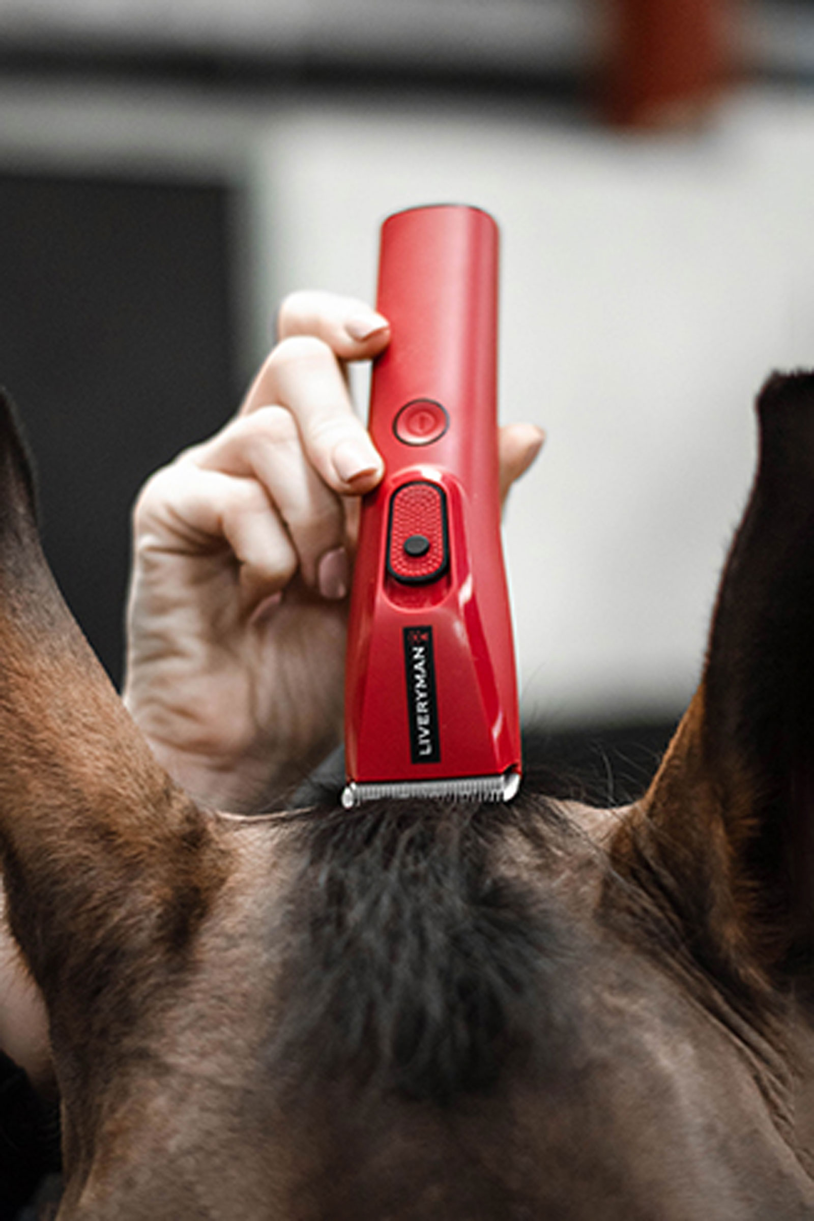 Liveryman Nova esquiladora