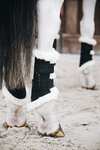 Botas Kentucky Horsewear Turnout AIR, parte delantera