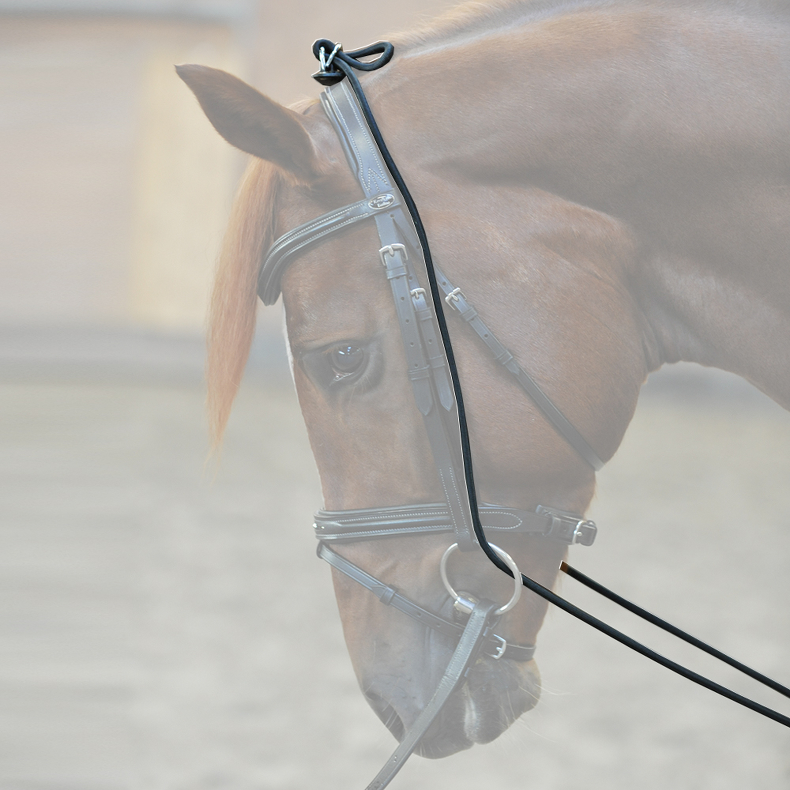 Kavalkade Bungie, elástico