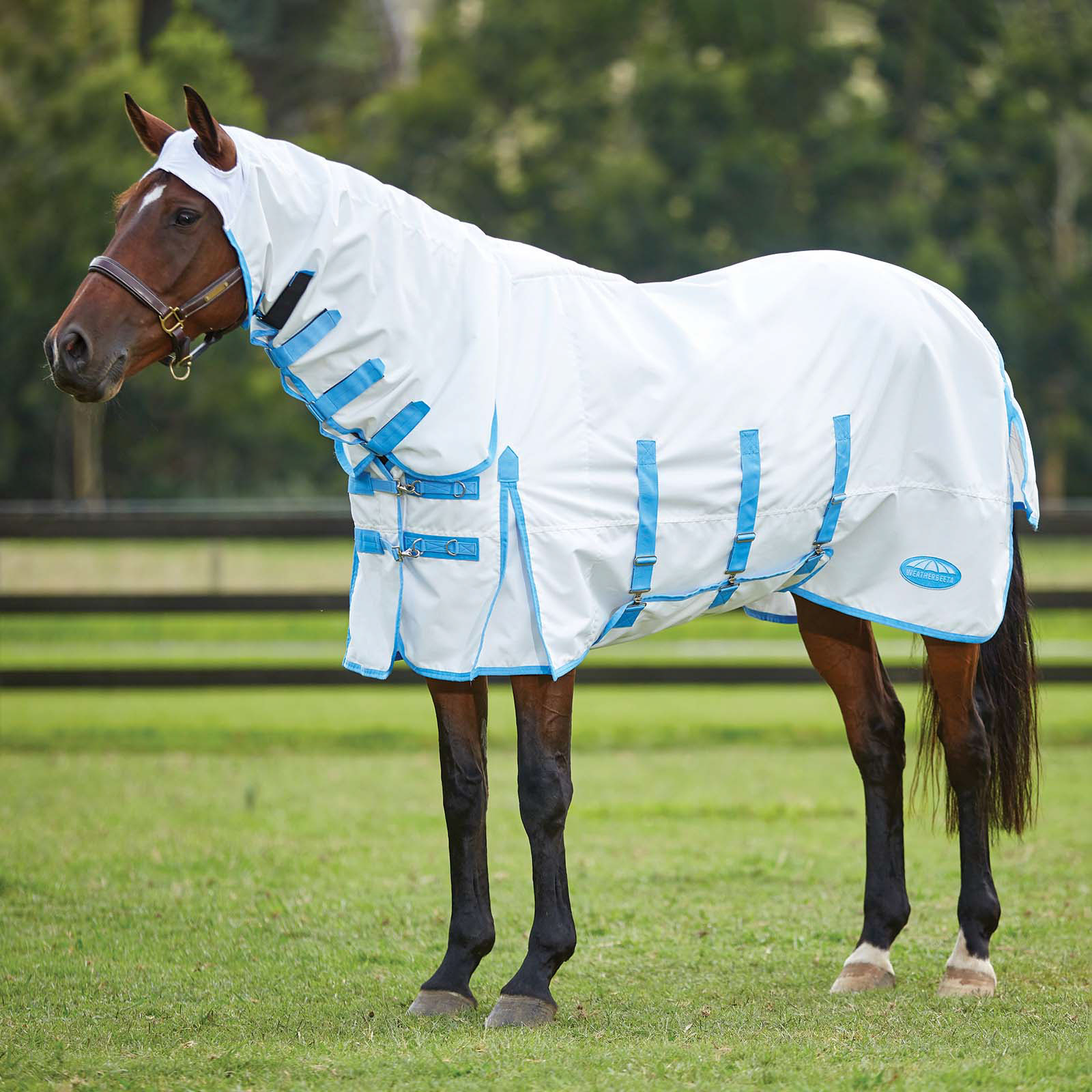 Weatherbeeta Comfitec manta Sweet Itch Anti-eccema con cuello fijo