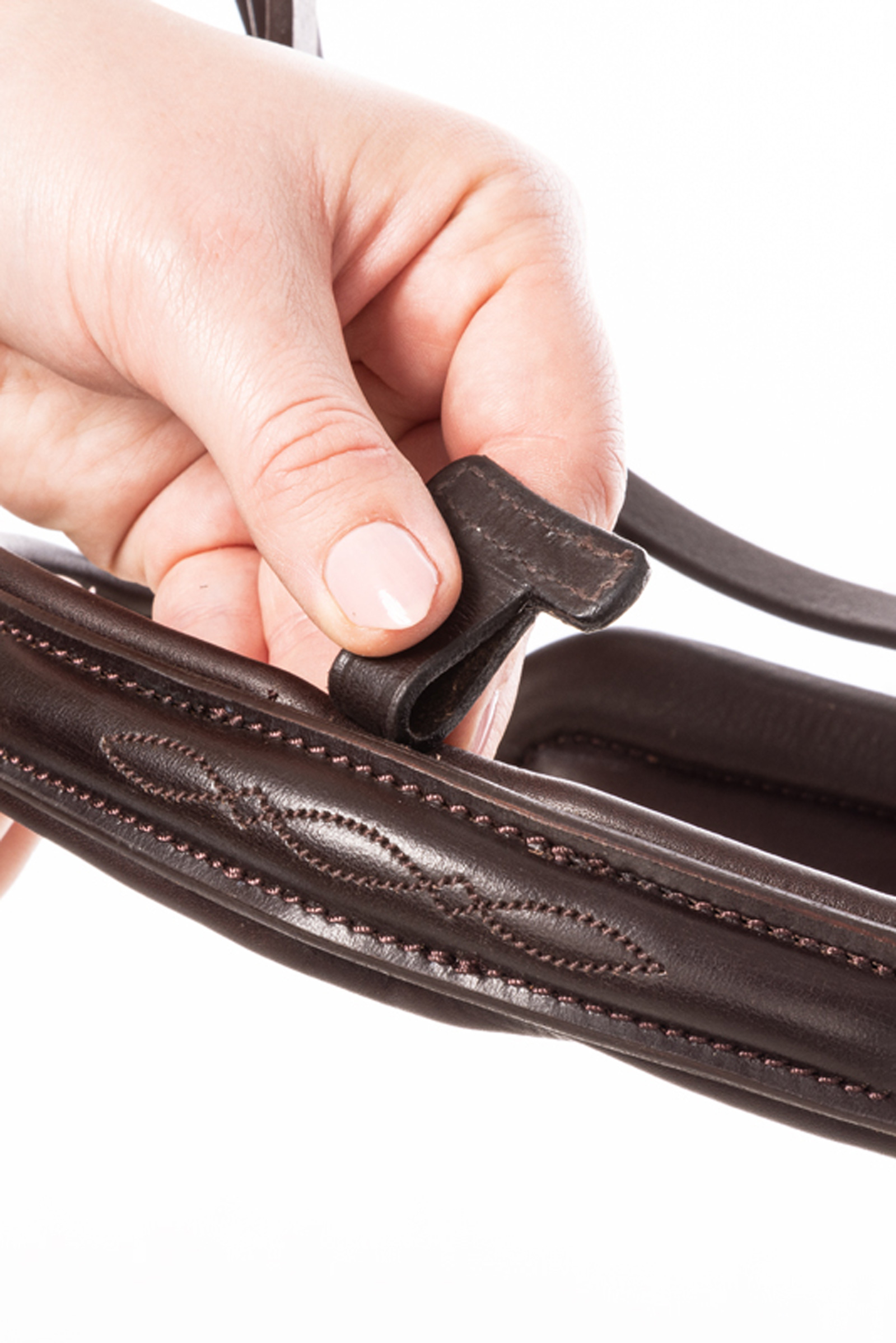 Kavalkade Robin Brida Inglesa