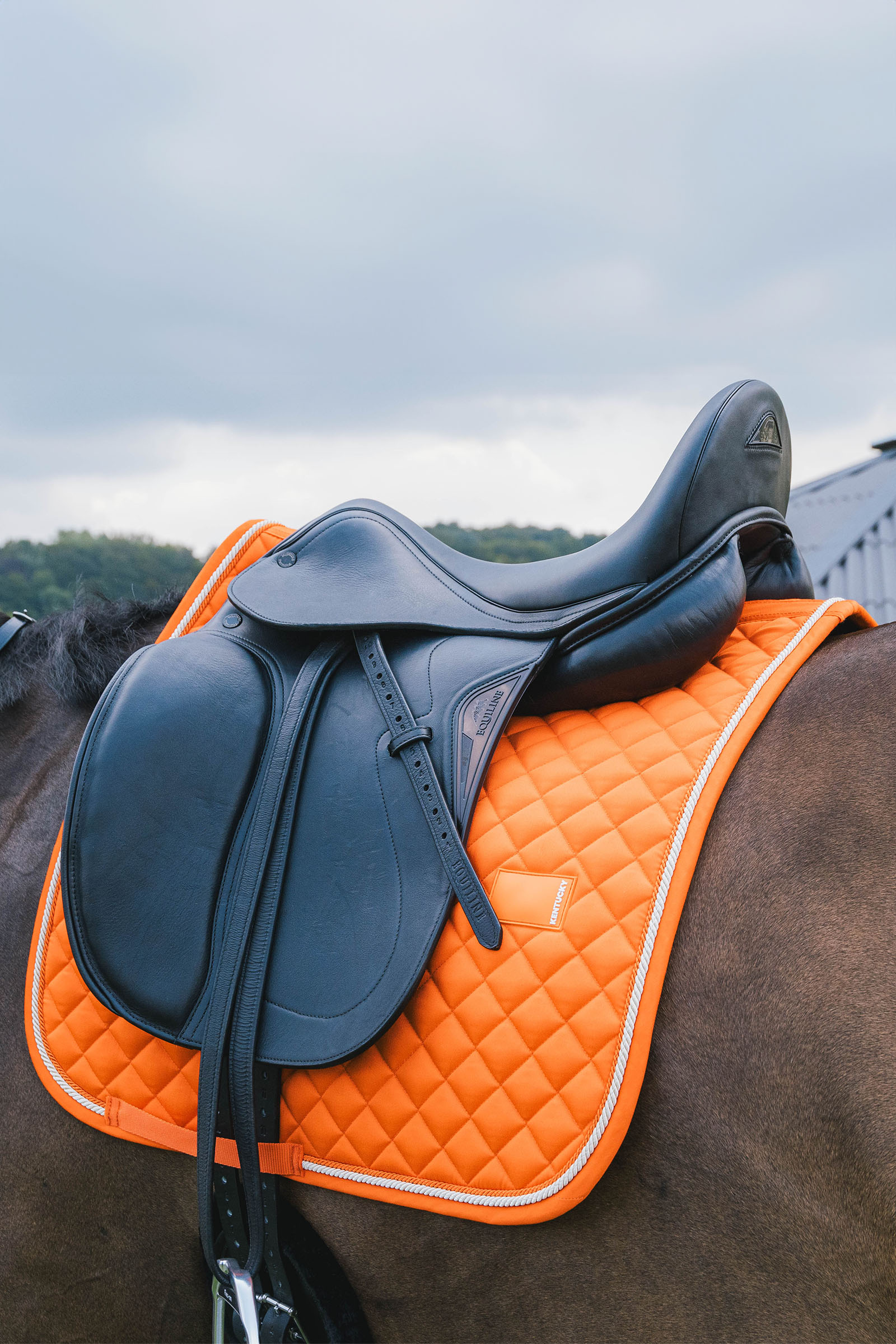 Kentucky Horsewear mantilla de doma Diamond Rope