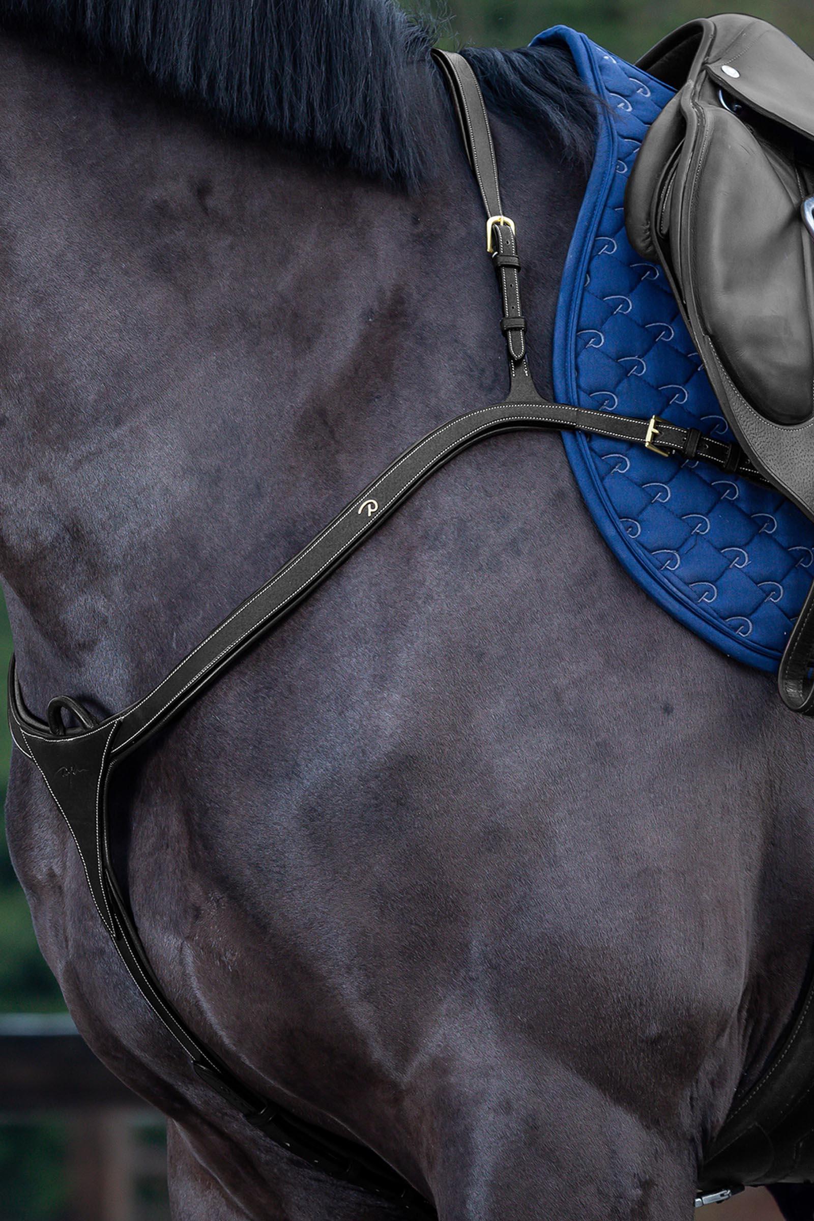 Dy'on D Collection pechopetral con puente largo