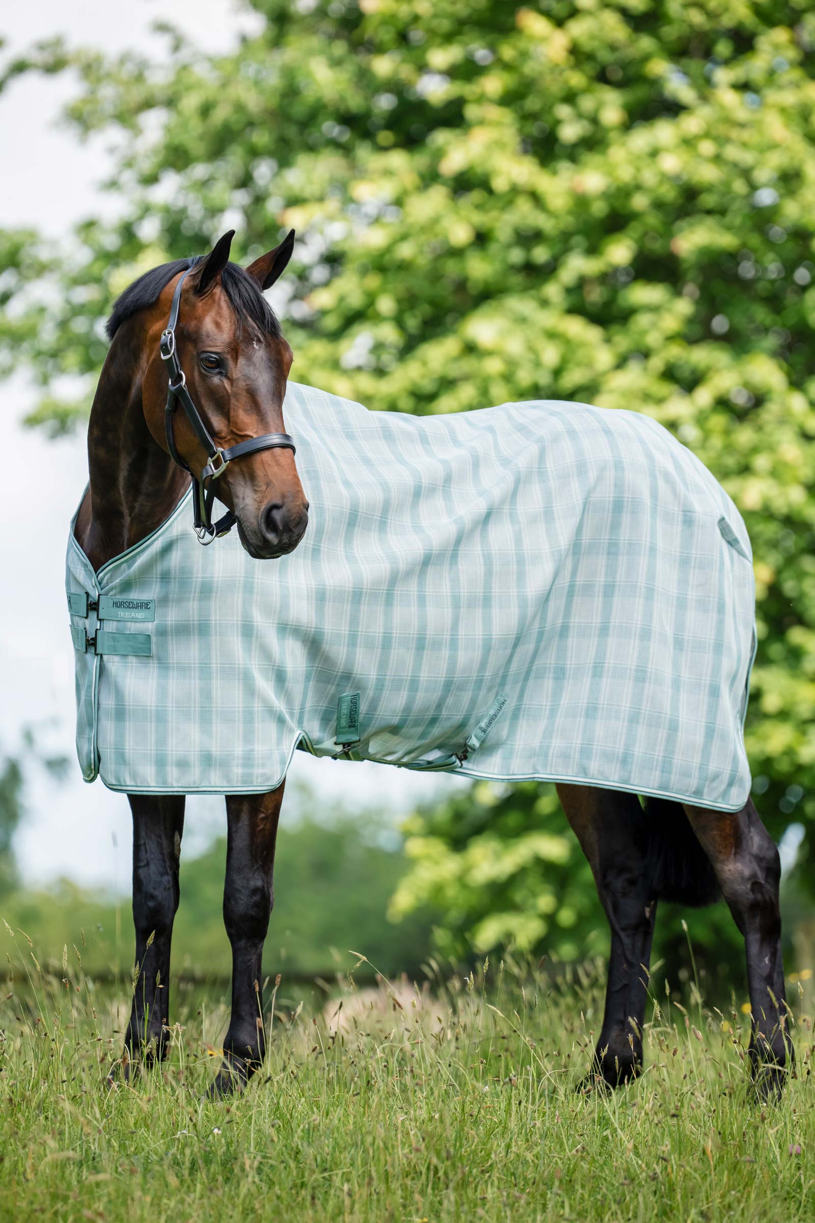 Horseware Newmarket manta antimoscas con protecci&oacute;n UV