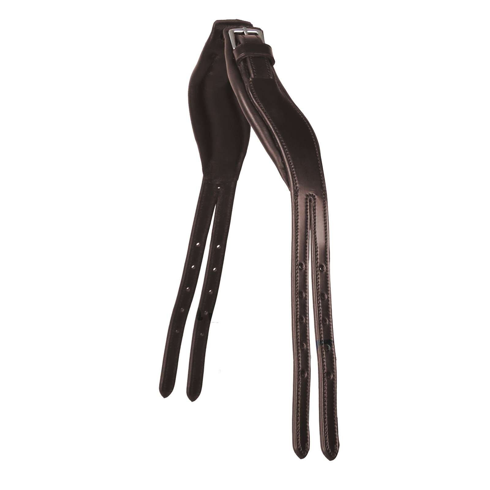 Dark Brown/Silver Testera Schockemöhle Sports Equitus Rho