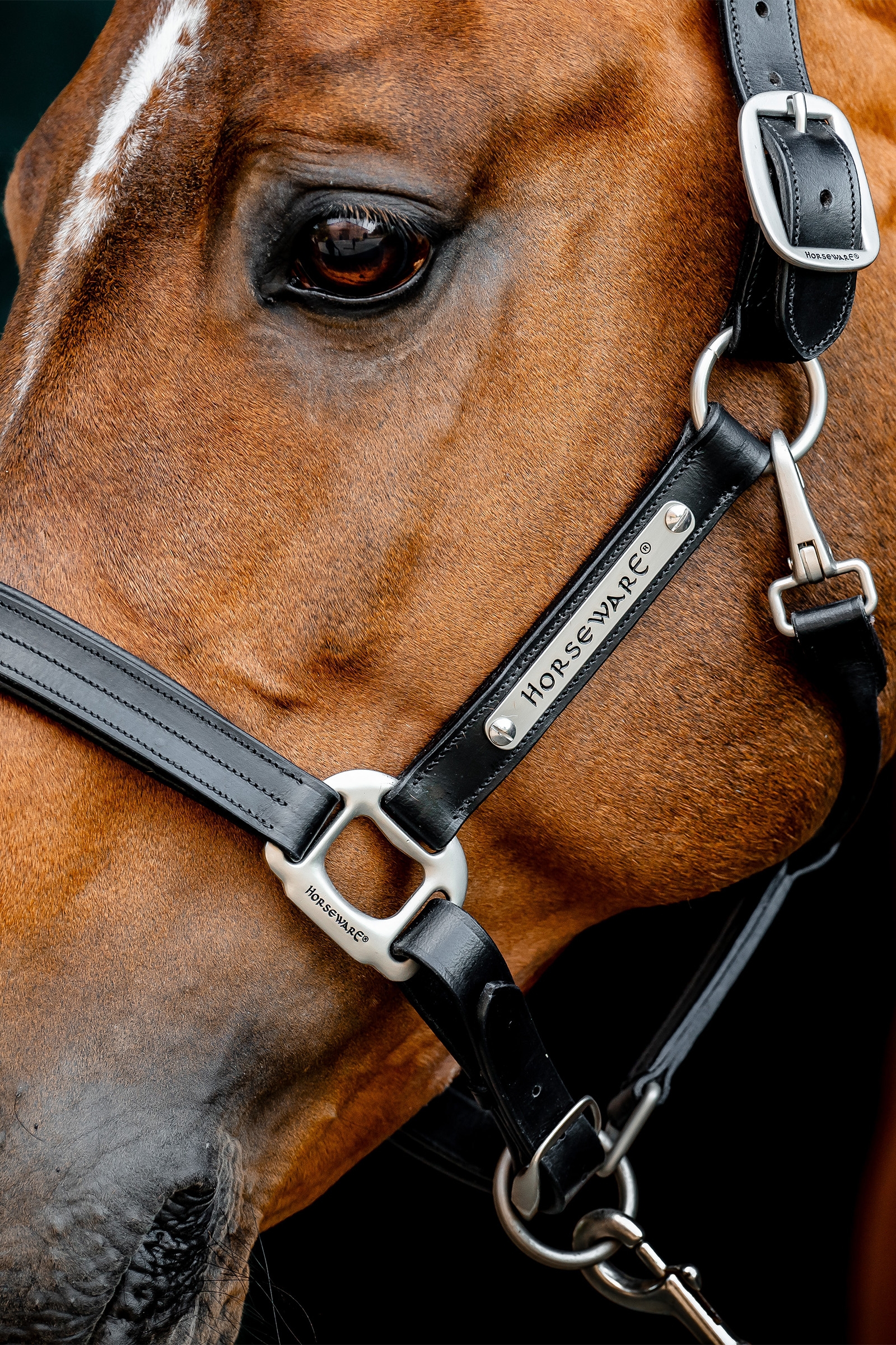 Cabestro de cuero Horseware Signature