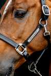 Cabestro de cuero Horseware Signature