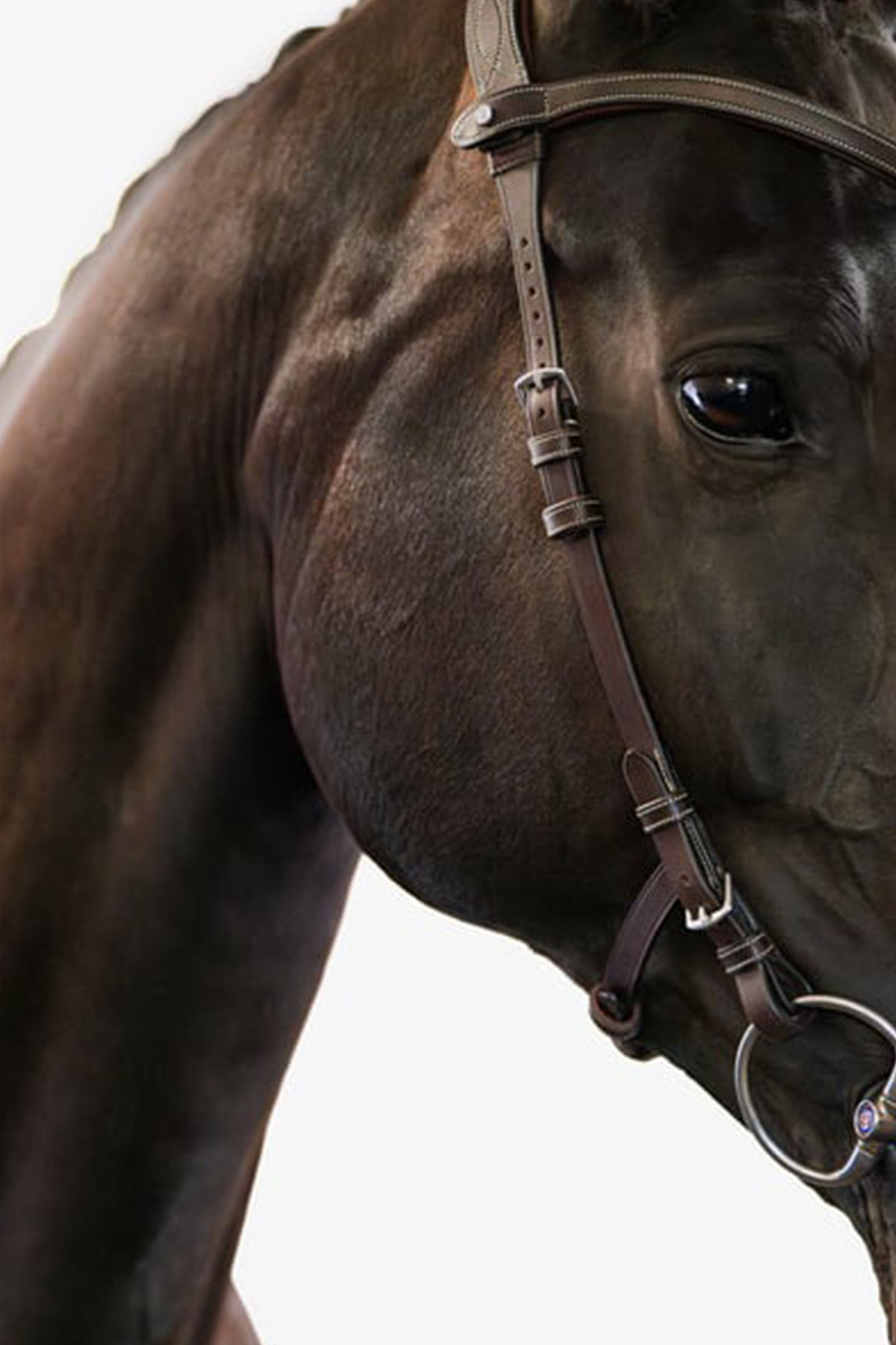 PS of Sweden Helsinki Cabezada