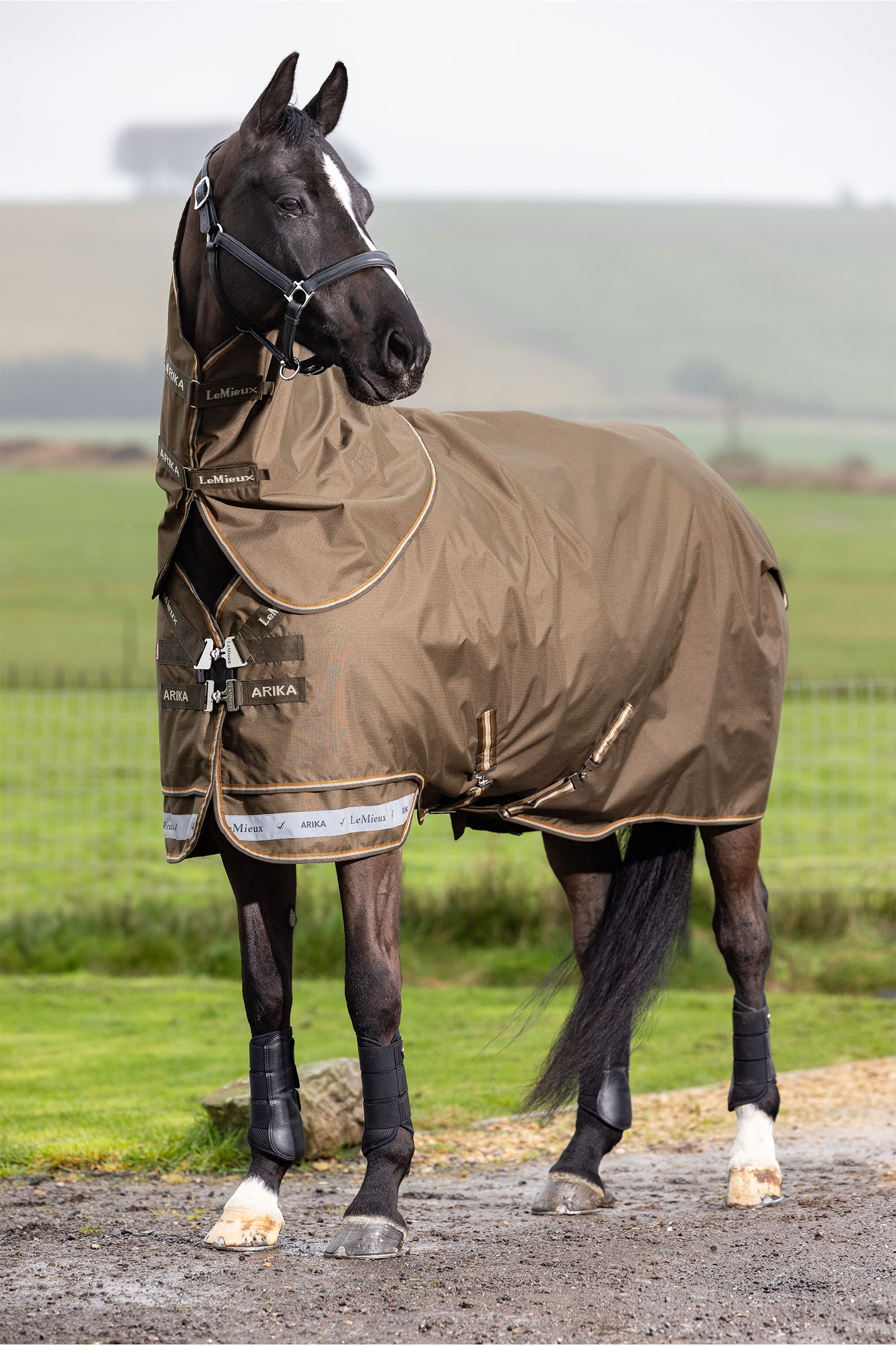 LeMieux Arika Ripstop Turnout Rug With Detachable Neck, 100 g
