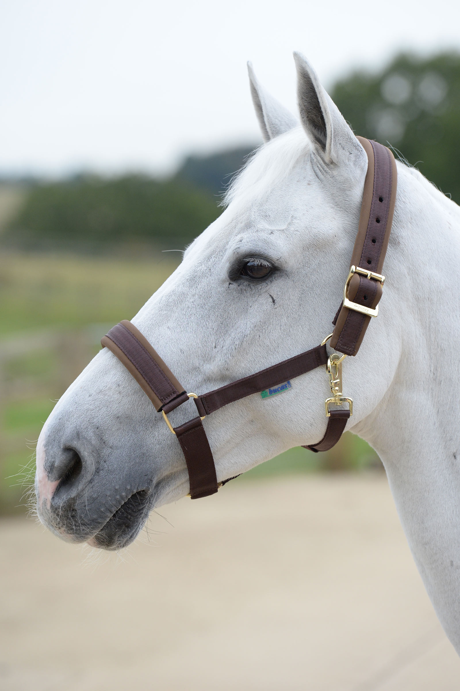 Bucas Comfort Cabezada de Cuadra