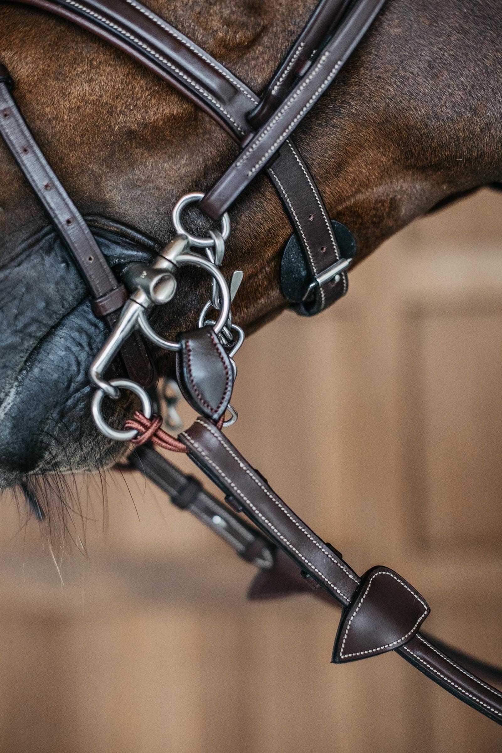 Dy'on correas pelham cortas  