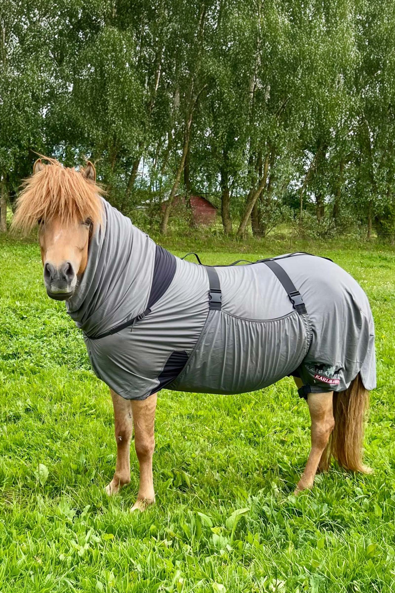 Karlslund Matti Manta anti-eczema con cuello fijo, 0g