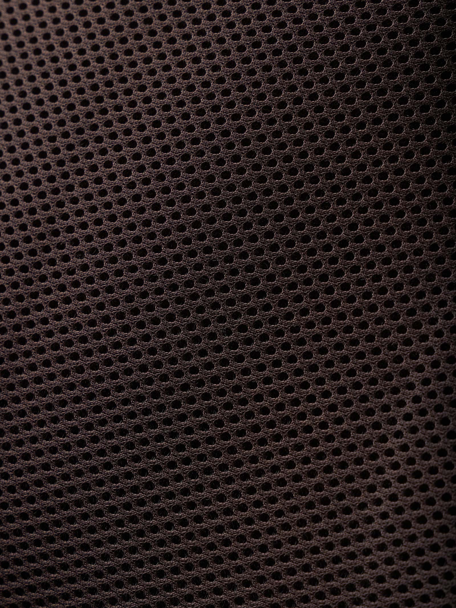 LeMieux Prosorb 3-bolsillos acolchado medio pad