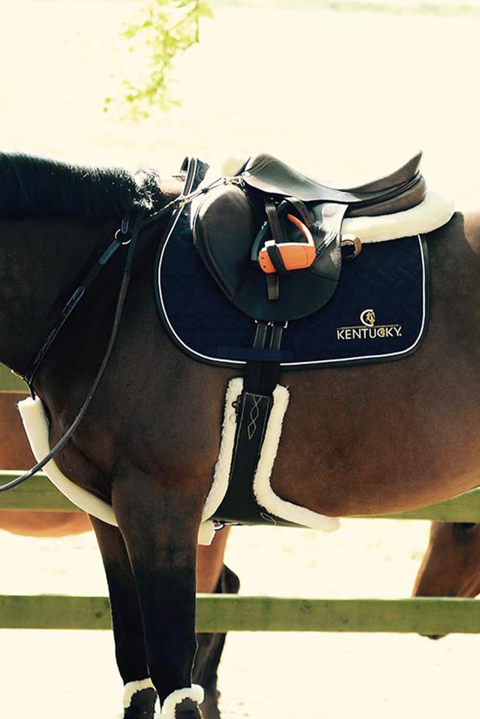 Cincha con tachuelas de piel de oveja Kentucky Horsewear