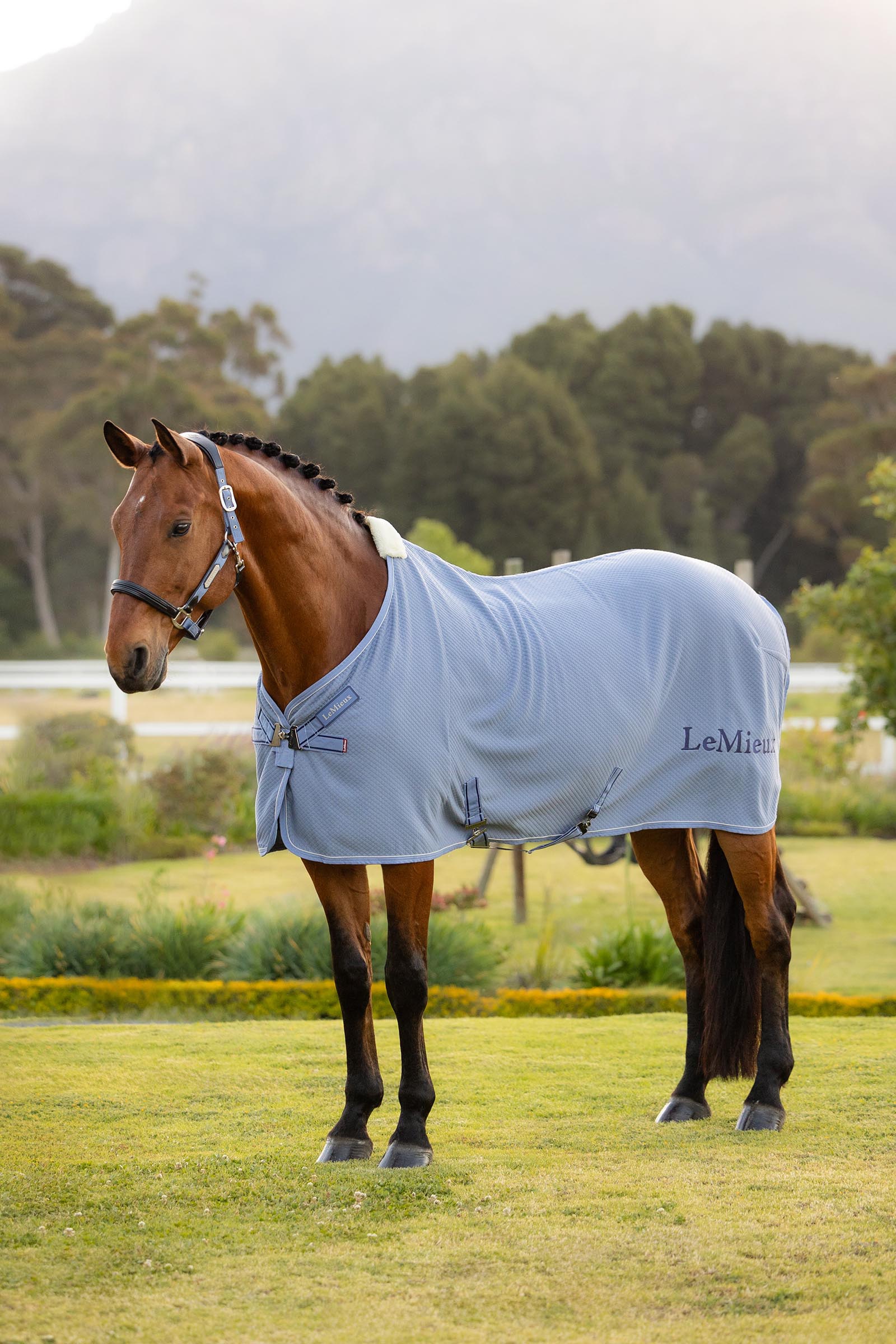 Powder Blue LeMieux Kudos manta secante de bamb&uacute;