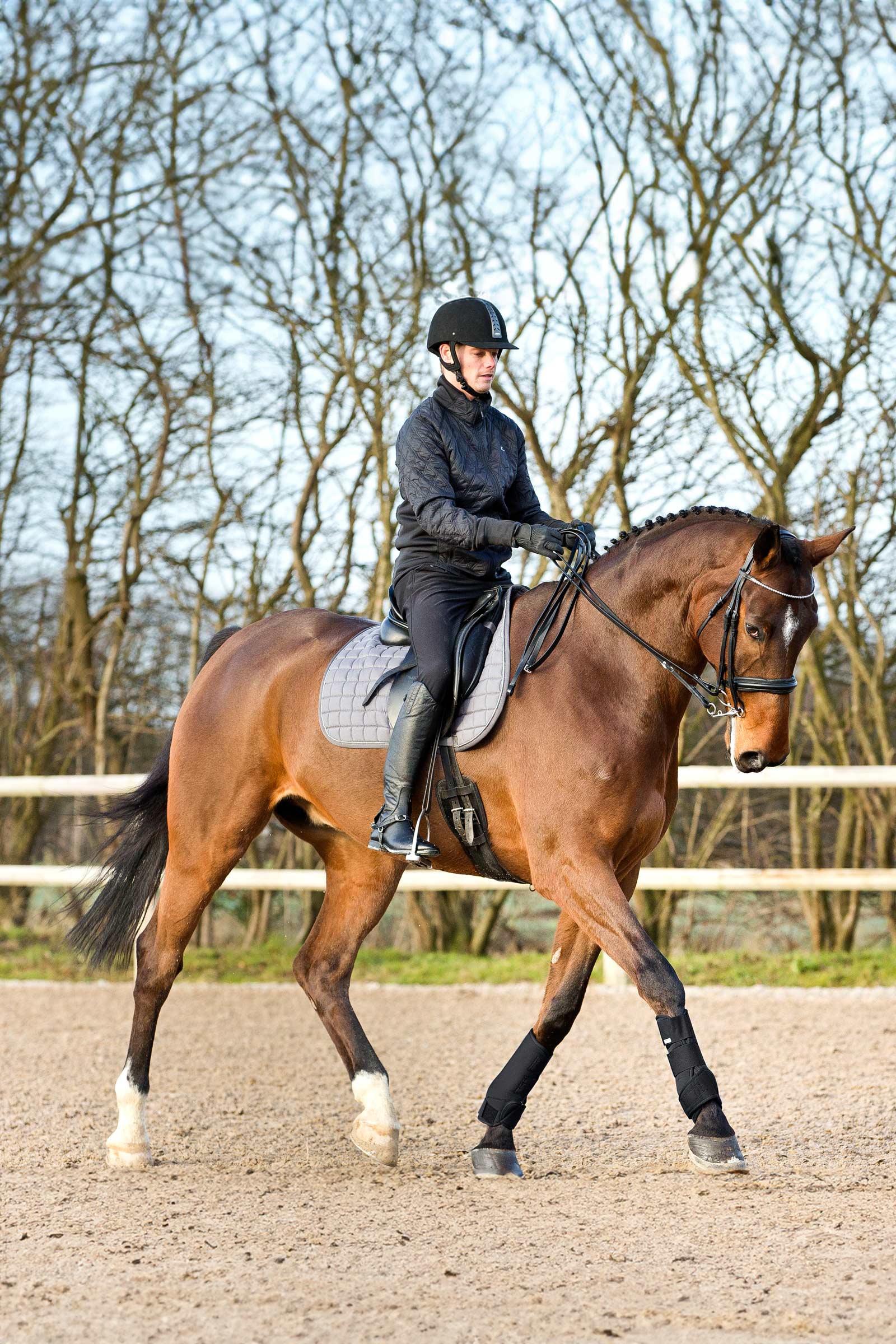 Protector de férula Horze Brushing Boots