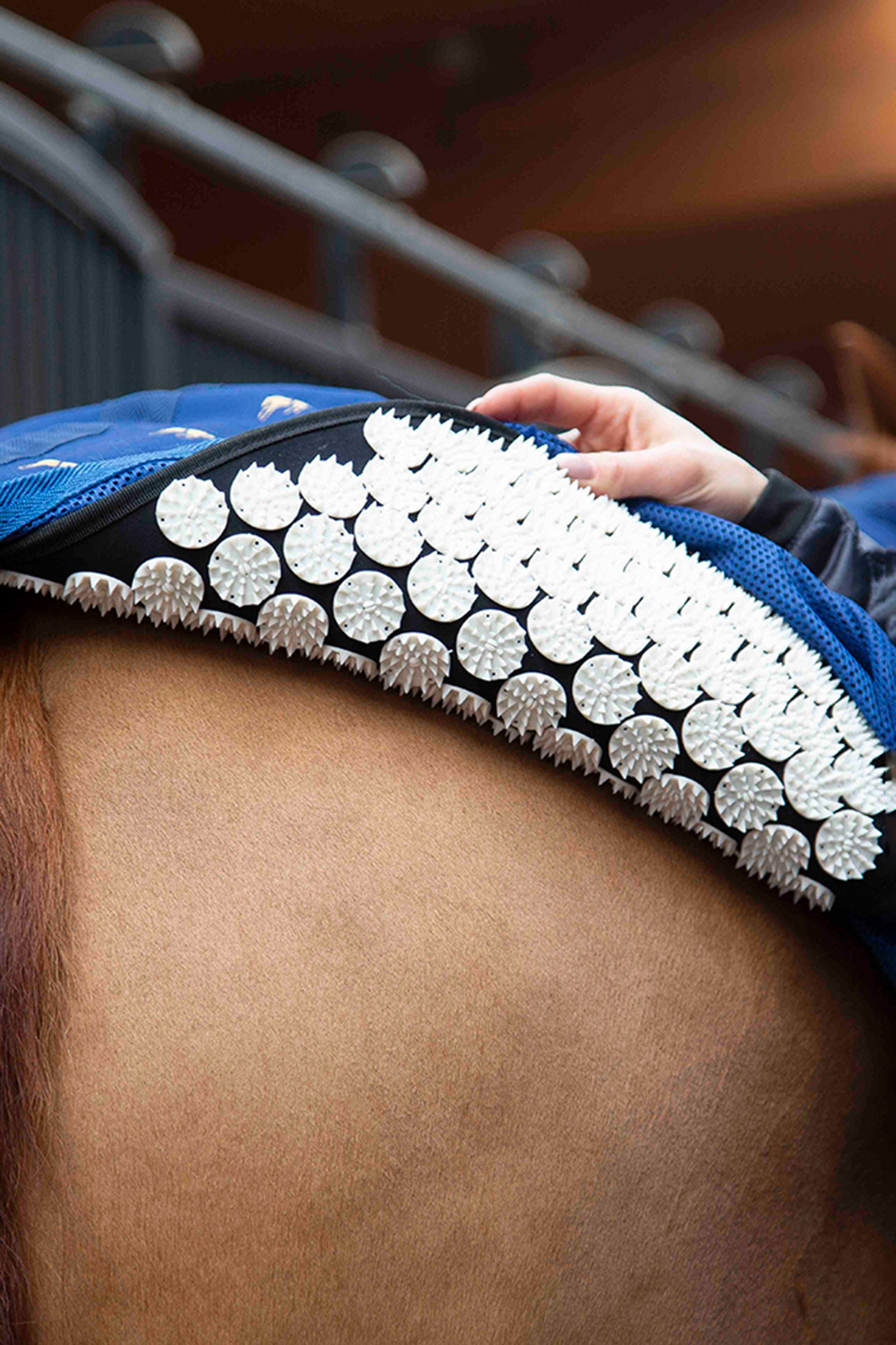 Manta de Secado Accuhorsemat