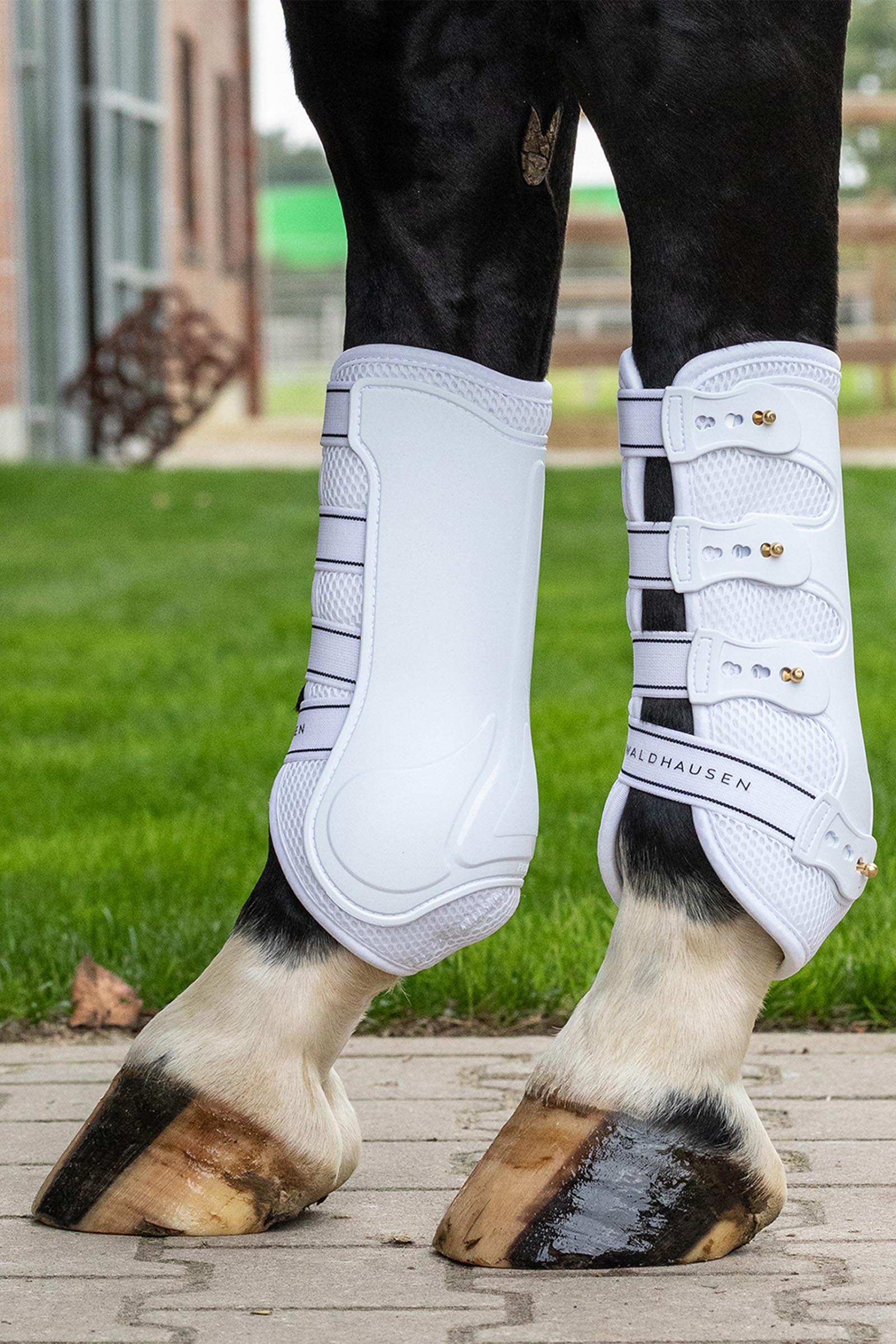 Waldhausen Breath protectores tendon (par)