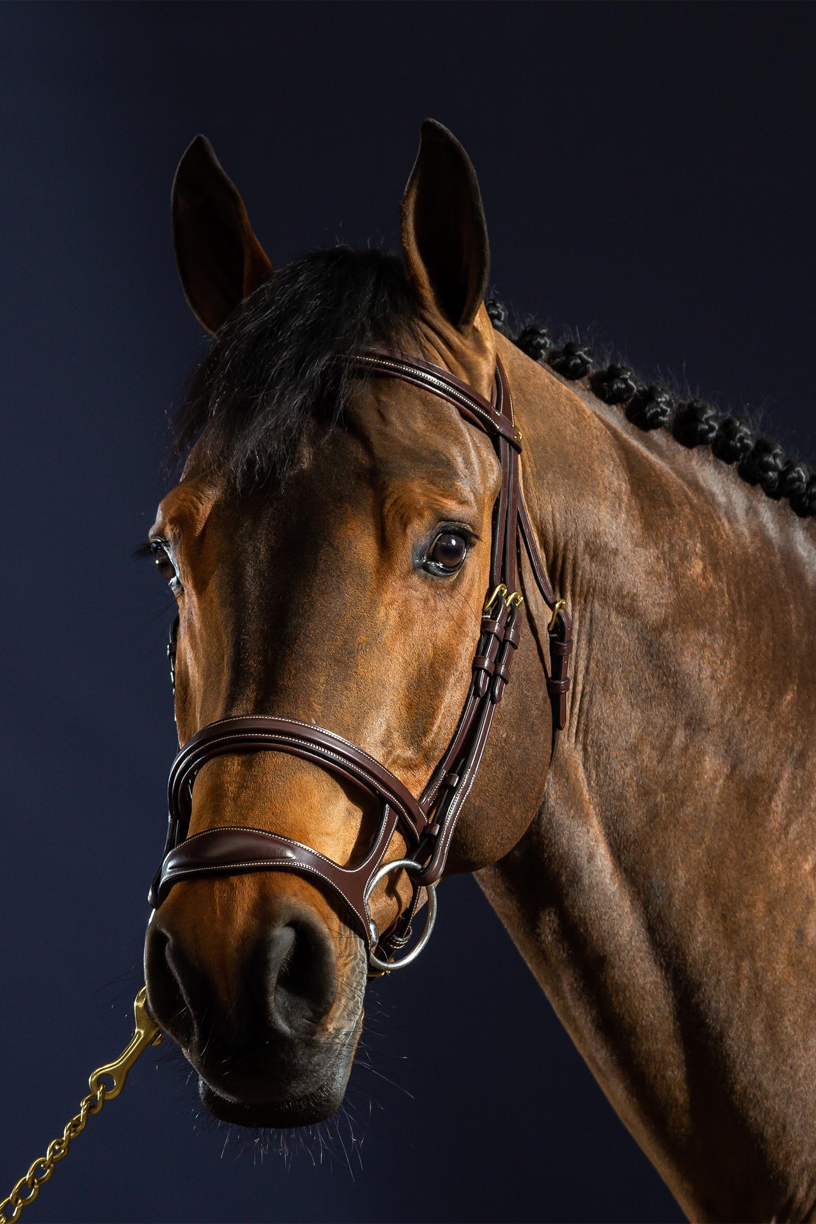 Dy'on D Collection cabezada con doble muserola