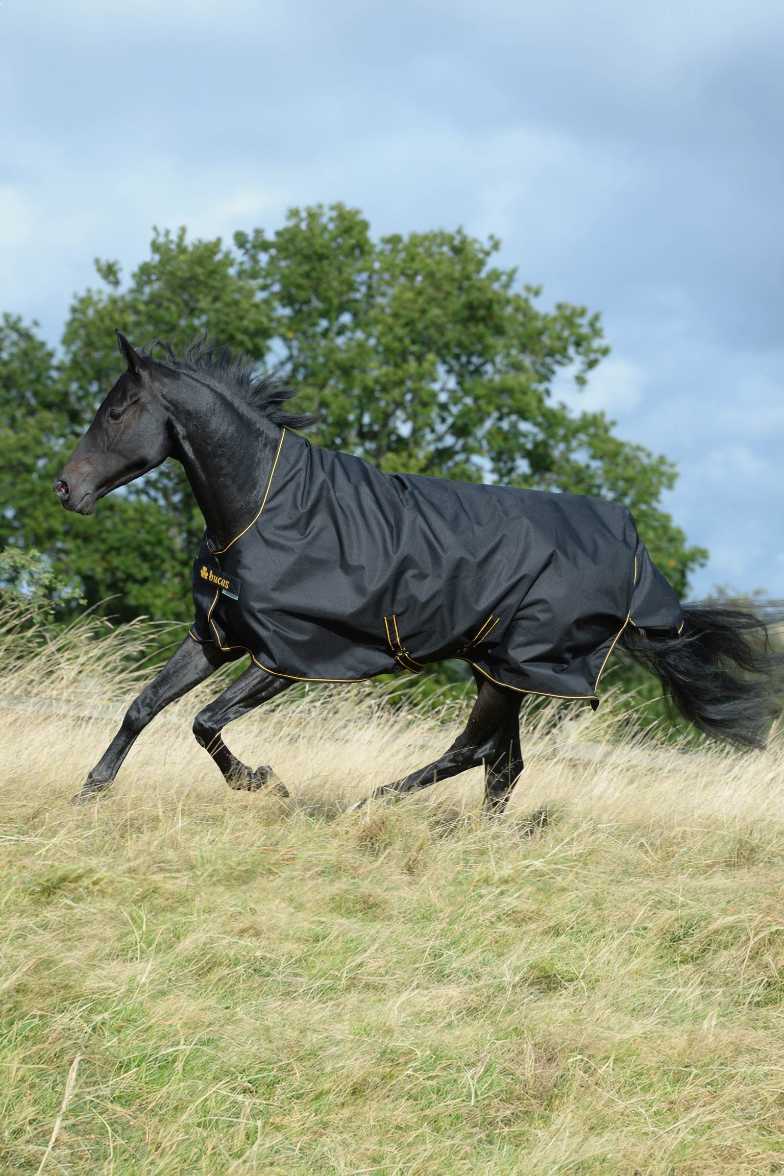 Bucas Irish manta de exterior con cuello alto, 50g