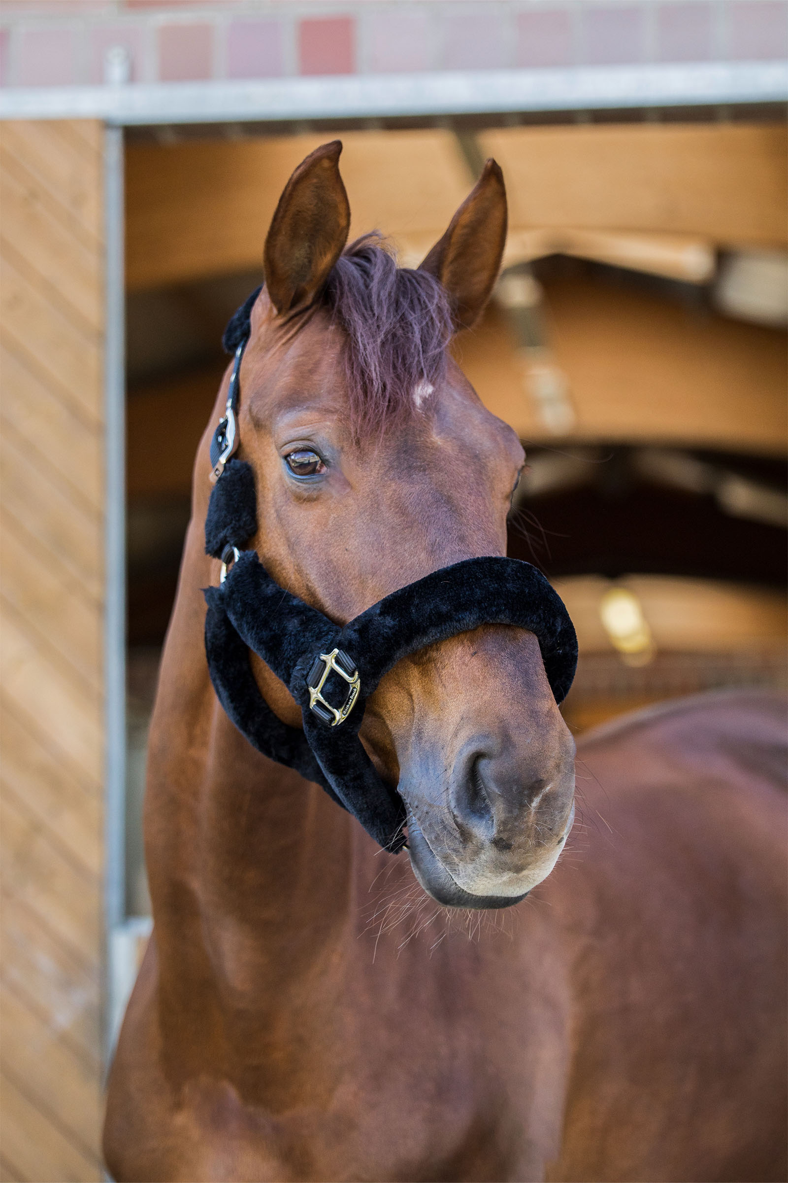 Back on Track Audrey cabezada de cuadra