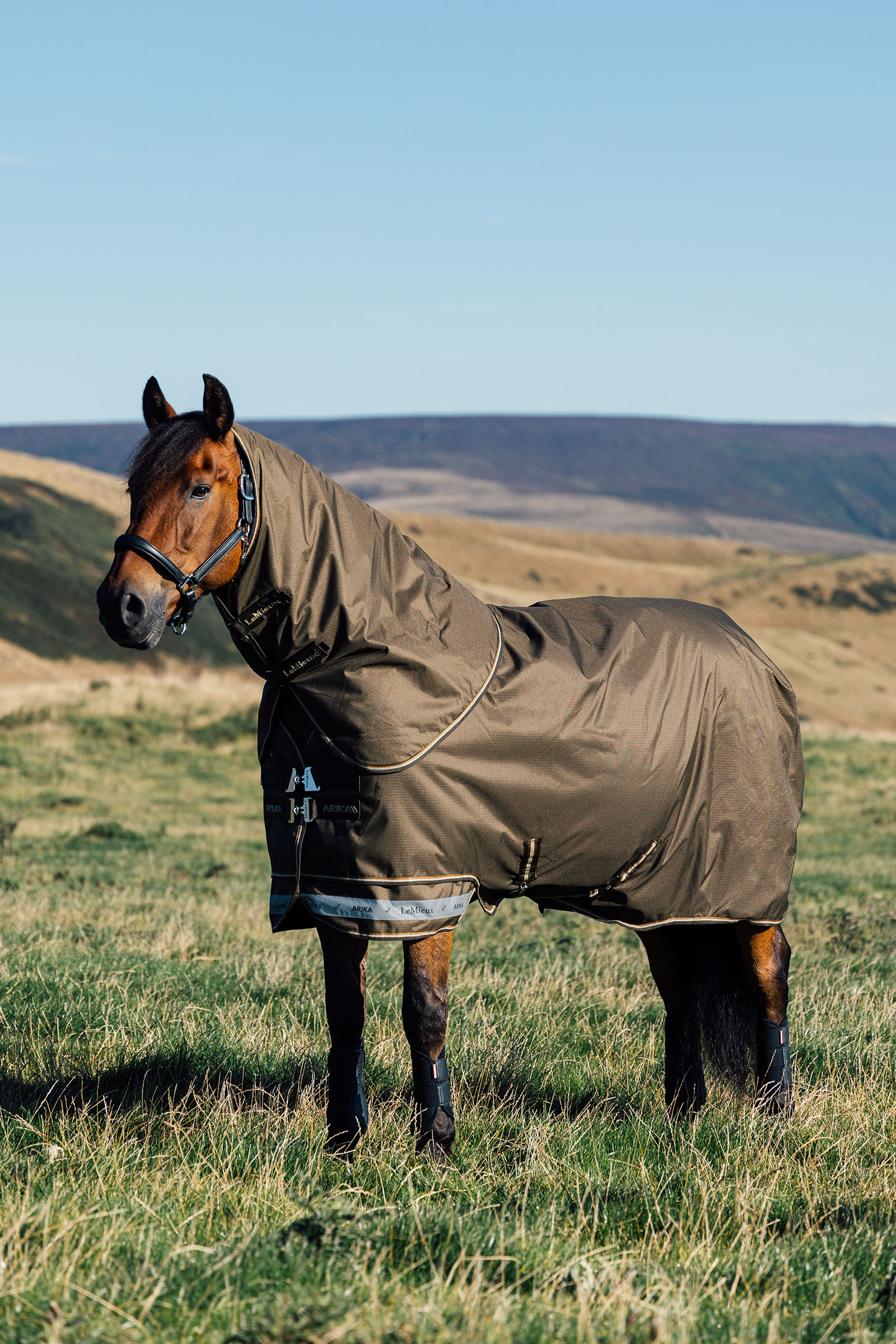 LeMieux Arika Ripstop Turnout Rug With Detachable Neck, 200 g