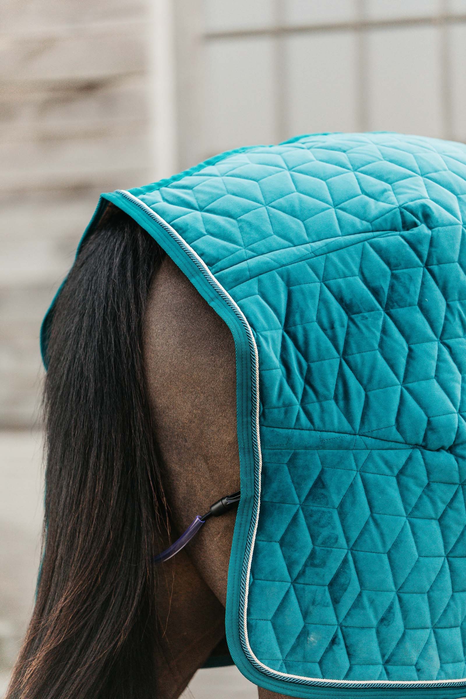 Manta de Concurso de Terciopelo Kentucky Horsewear, 160g