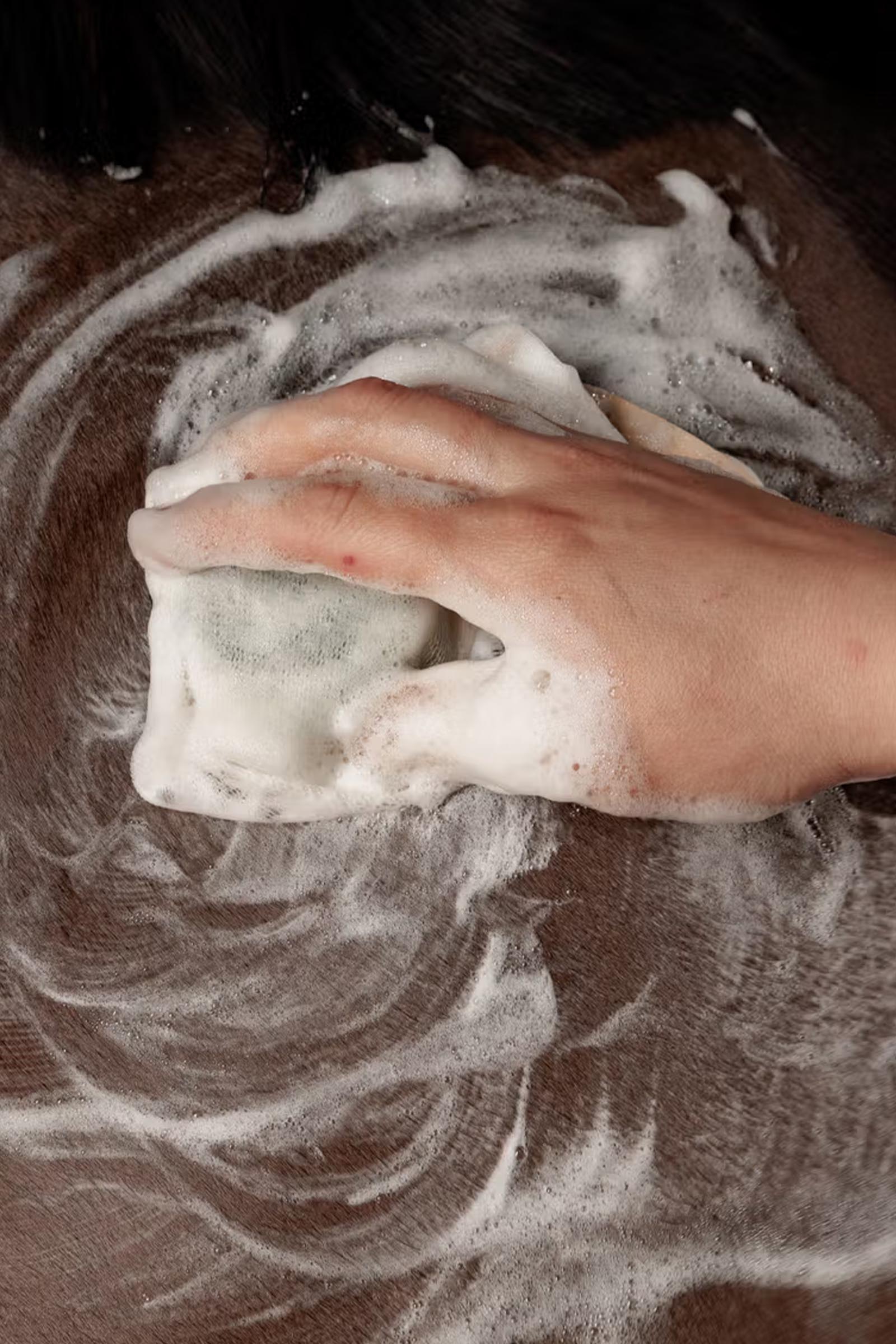 Grooming Deluxe Champ&uacute; s&oacute;lido almendra, 60 g