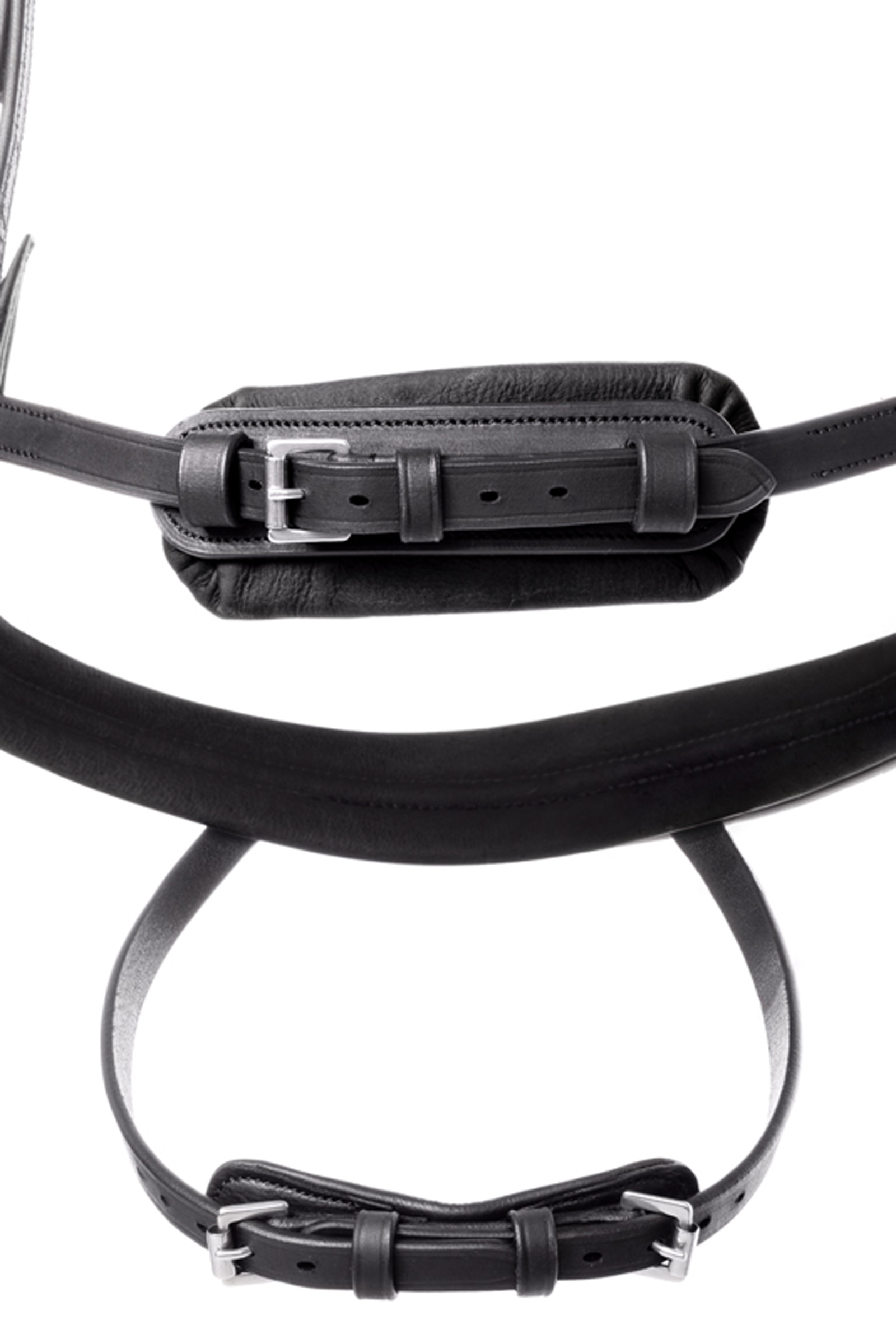 Kavalkade Caliano Brida Inglesa