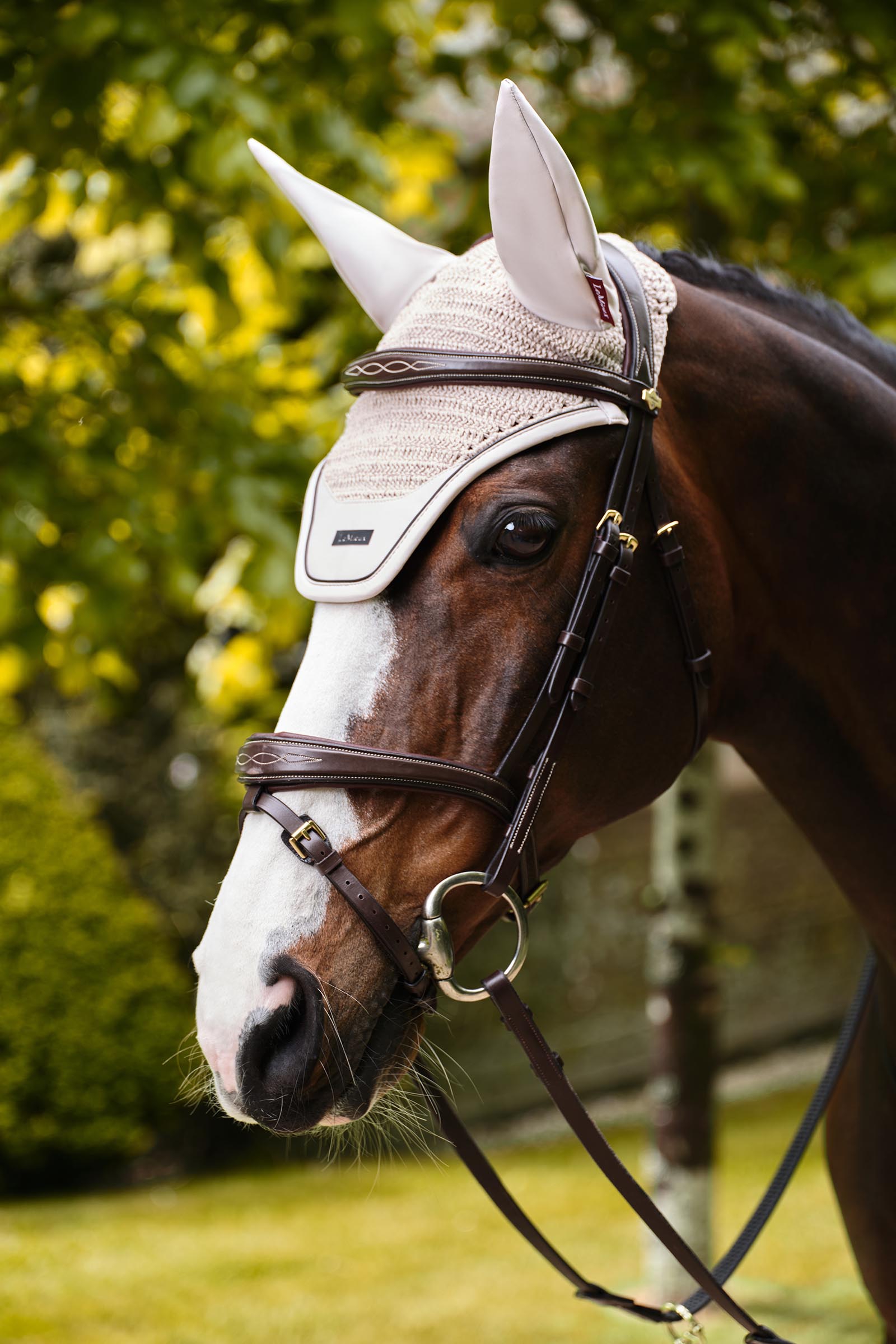 LeMieux Essence orejeras