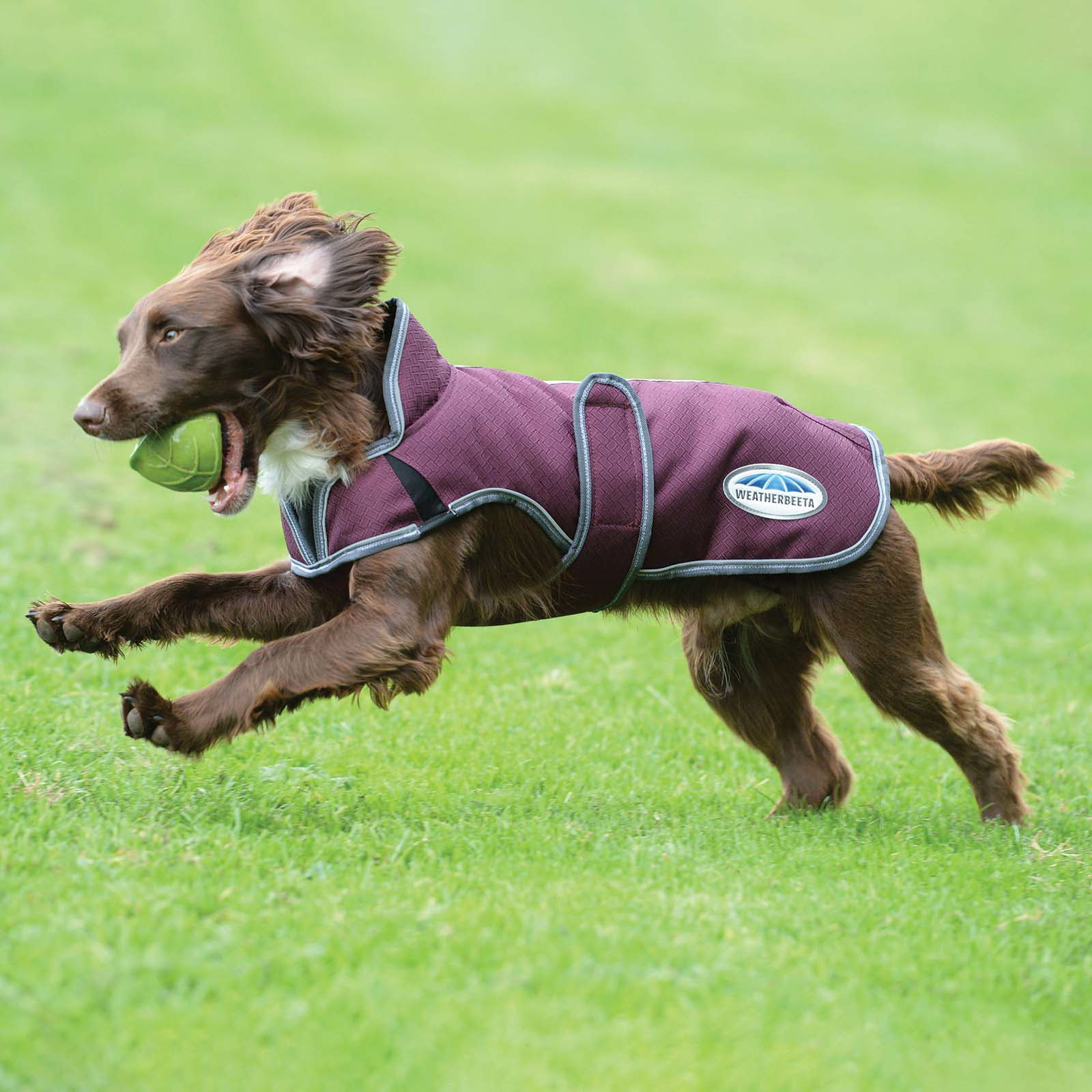 Abrigo para Perro Weatherbeeta Comfitec Premier Free Parka Deluxe, 220g