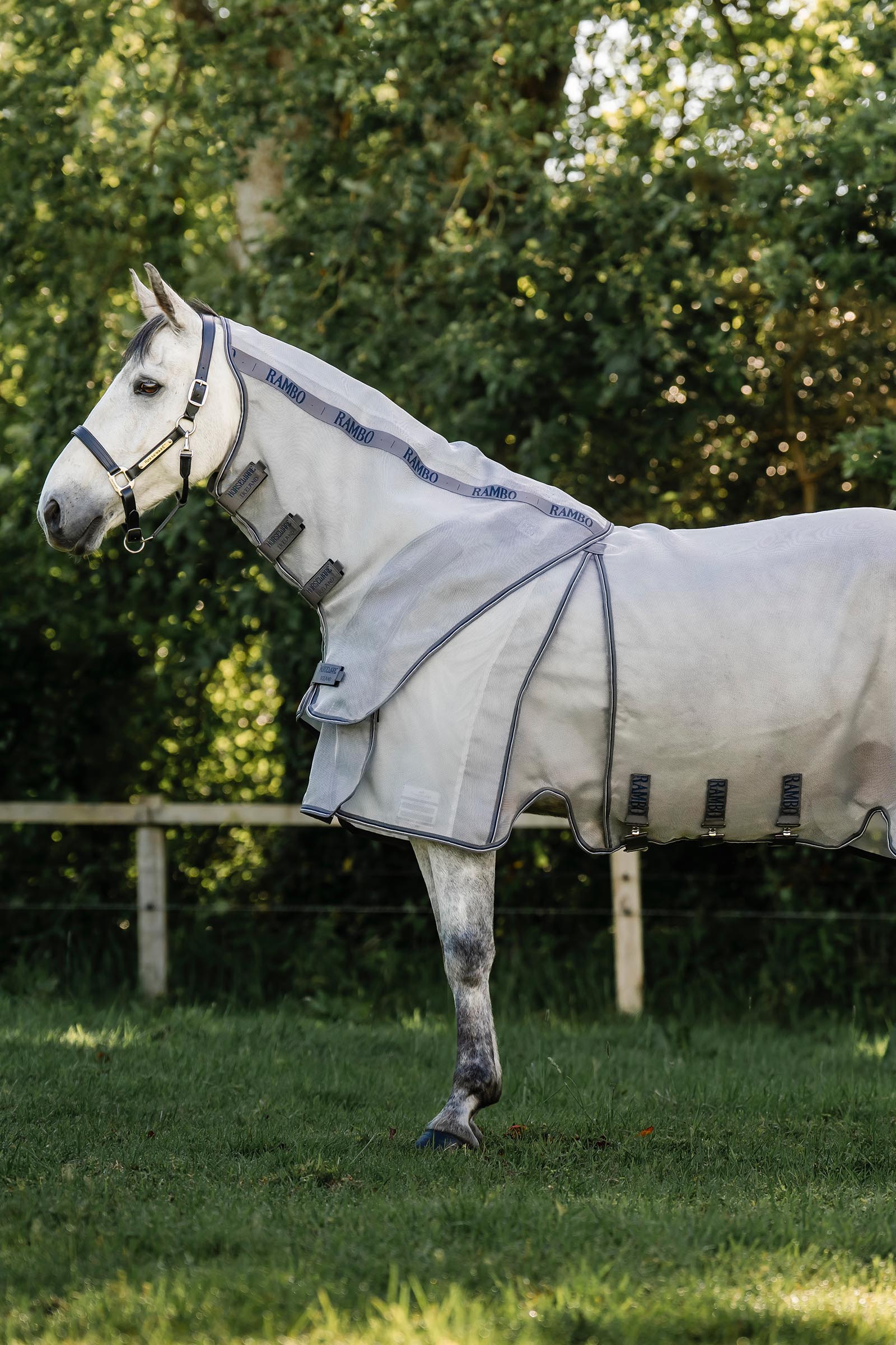 Horseware Rambo Optimo Protector Plus manta
