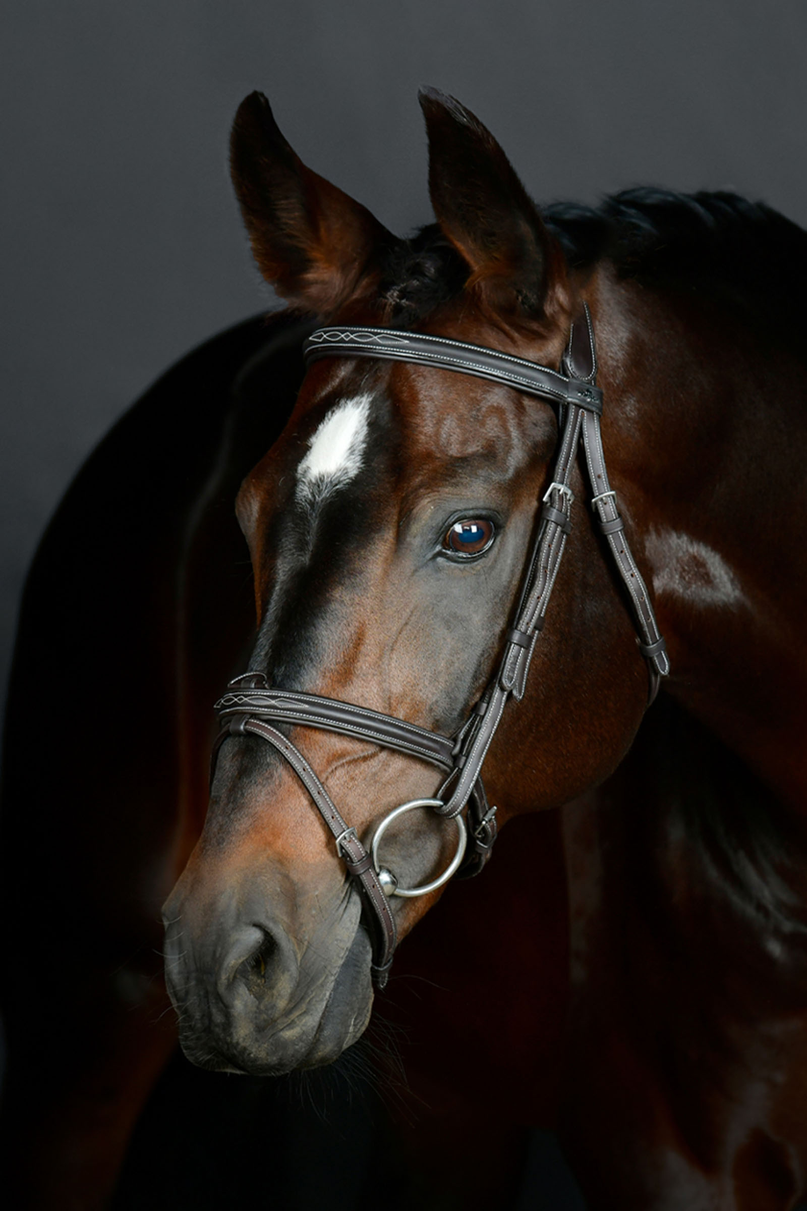 Collegiate Comfitec Opulux Fancy Stitch cabezada hanoveriana acolchada