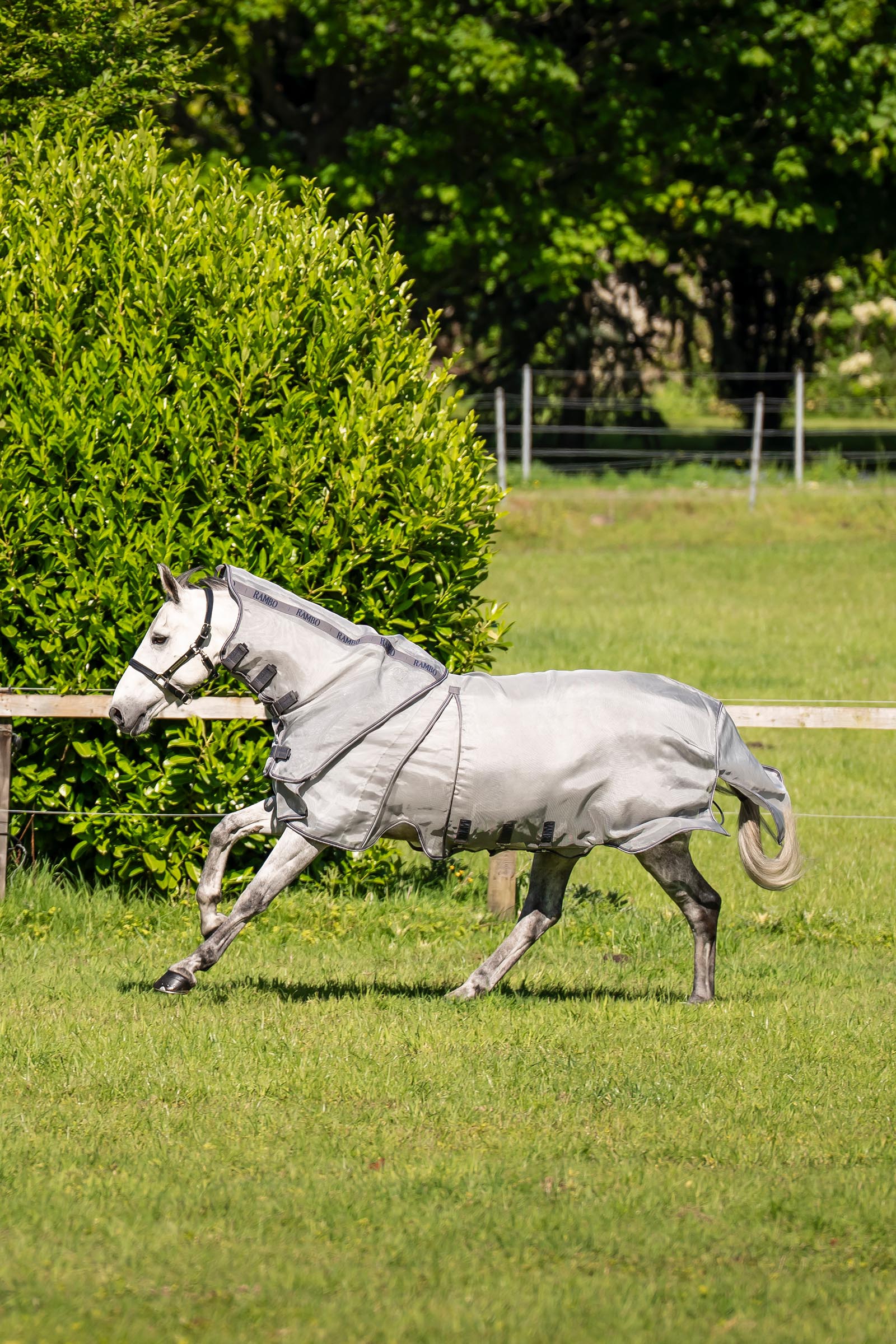 Horseware Rambo Optimo Protector Plus manta