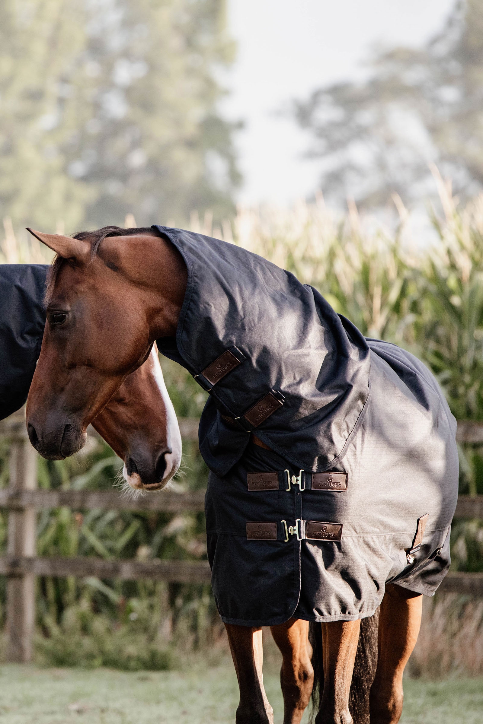 Kentucky Horsewear Classic Manta de Exterior impermeable para todo tipo de clima, 150g