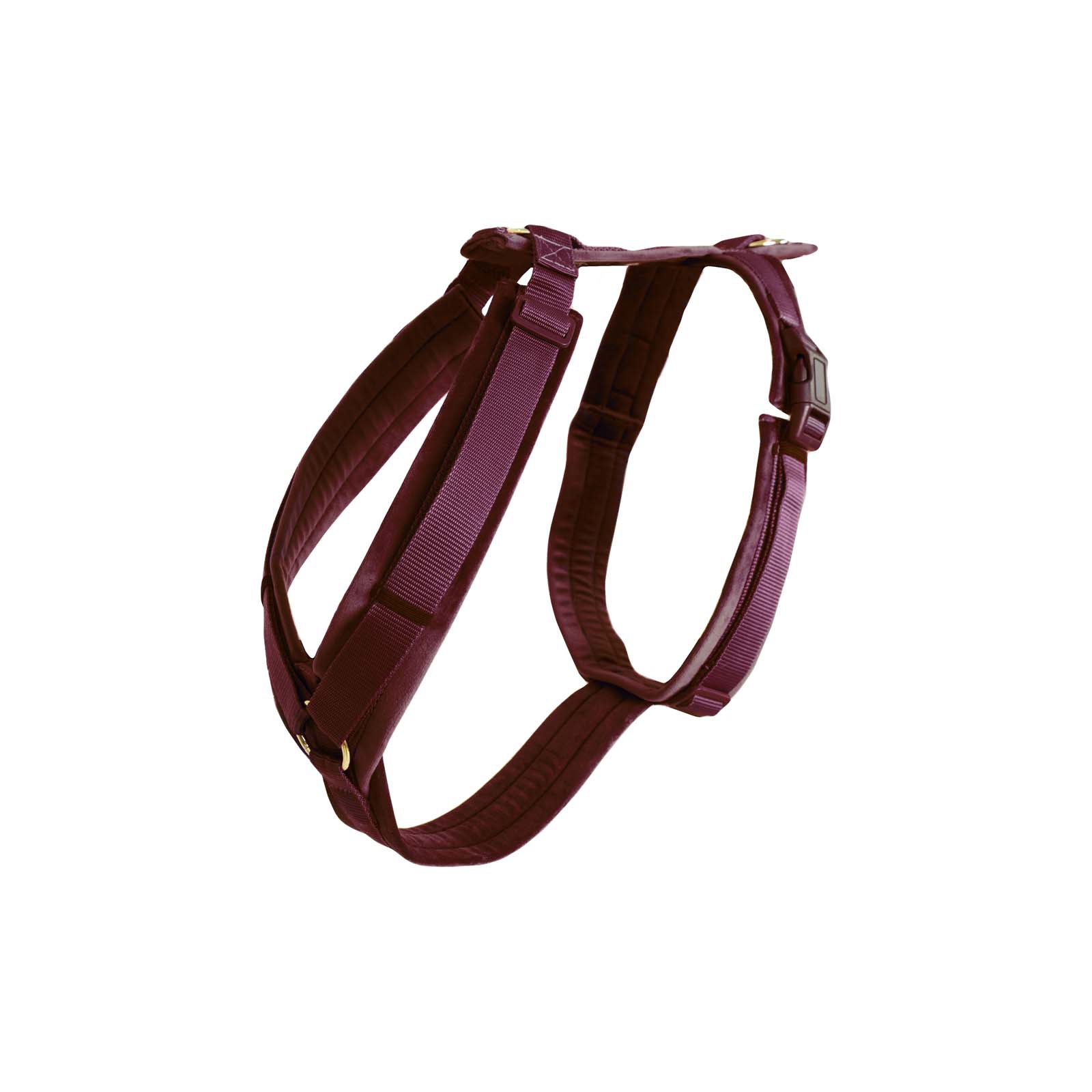 Dark Red Arn&eacute;s de Terciopelo Kentucky Dogwear Active