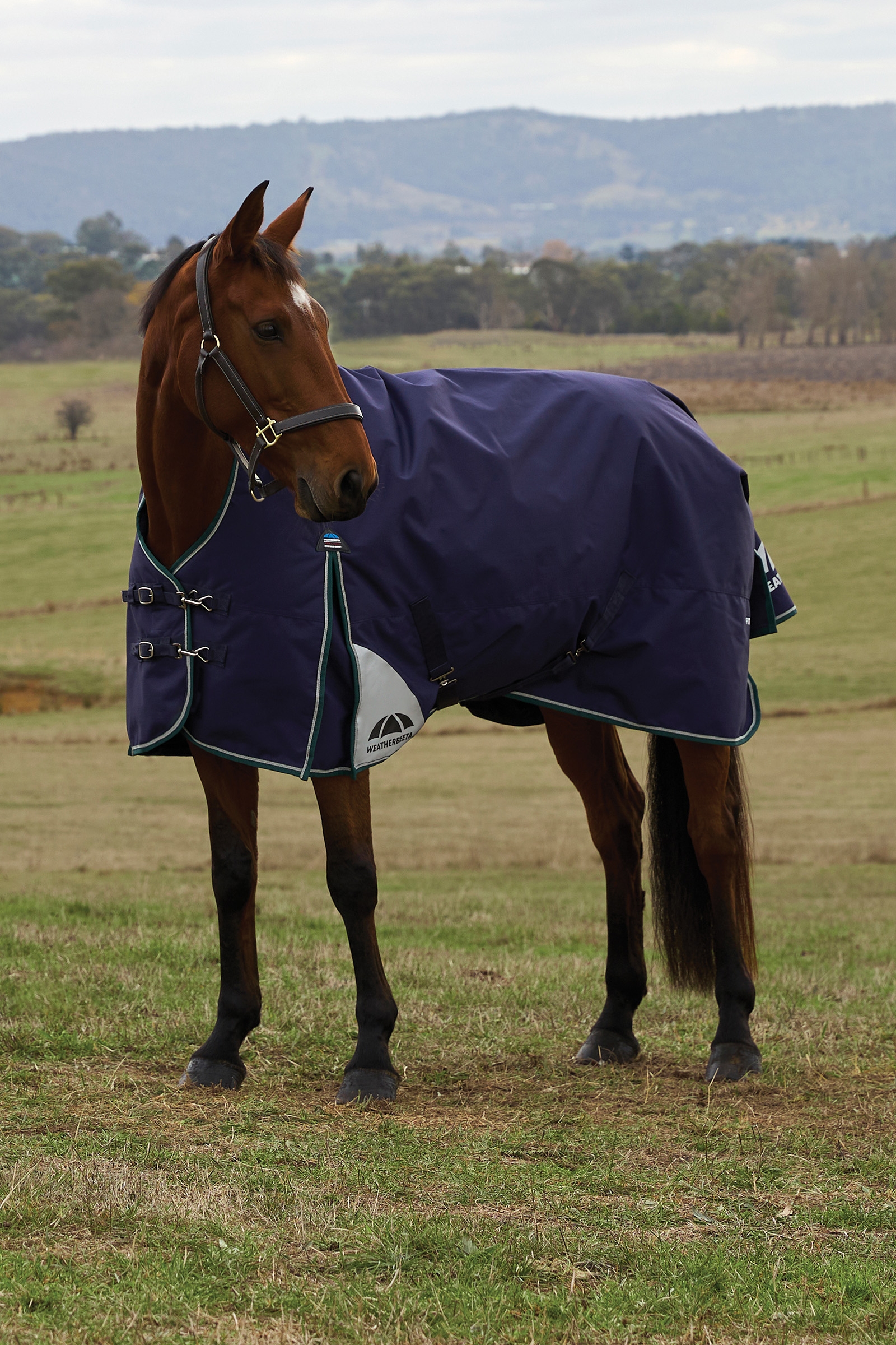 Weatherbeeta ComFiTecPlus Dynamic Turnout High Neck 100G