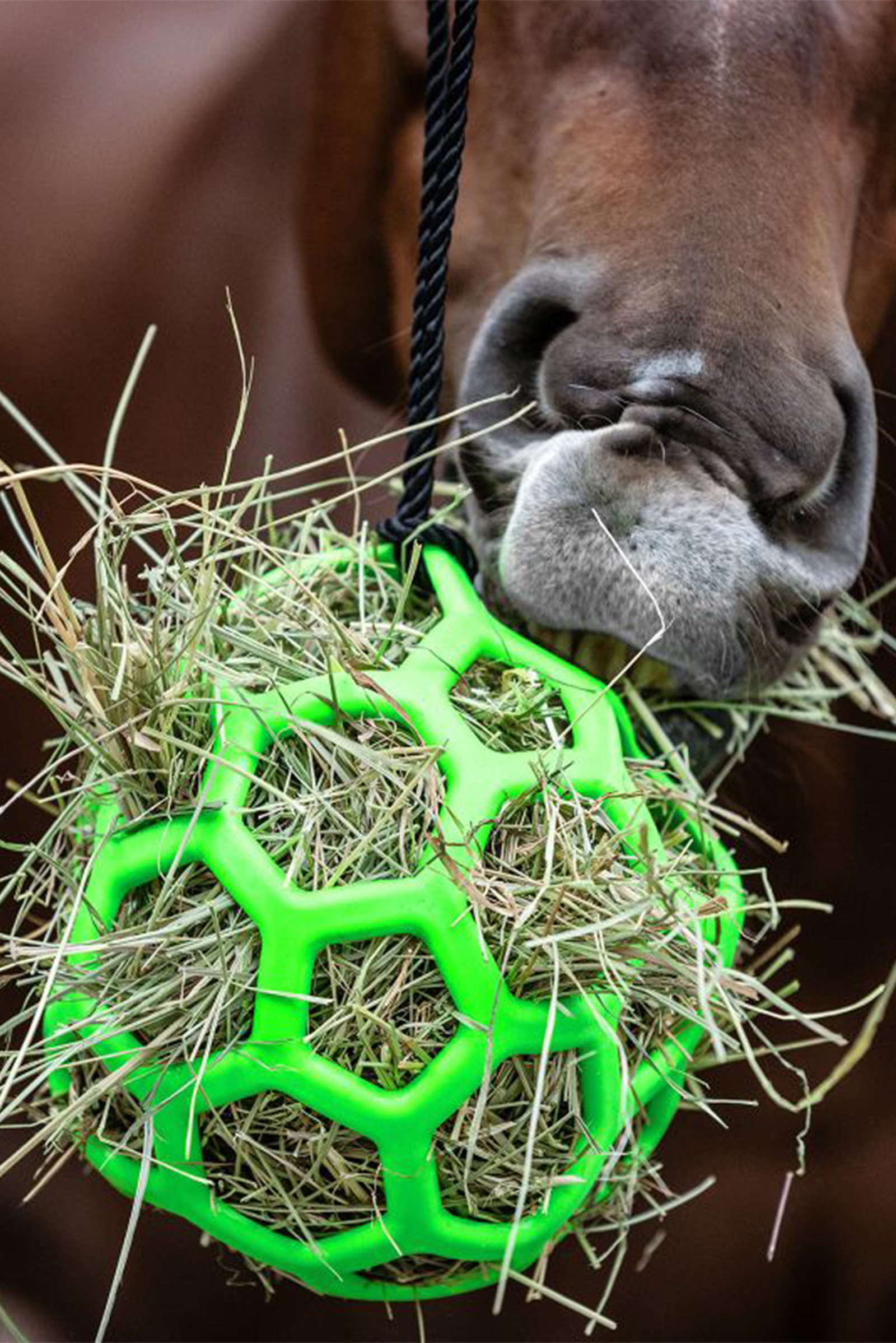 Waldhausen pelota de heno