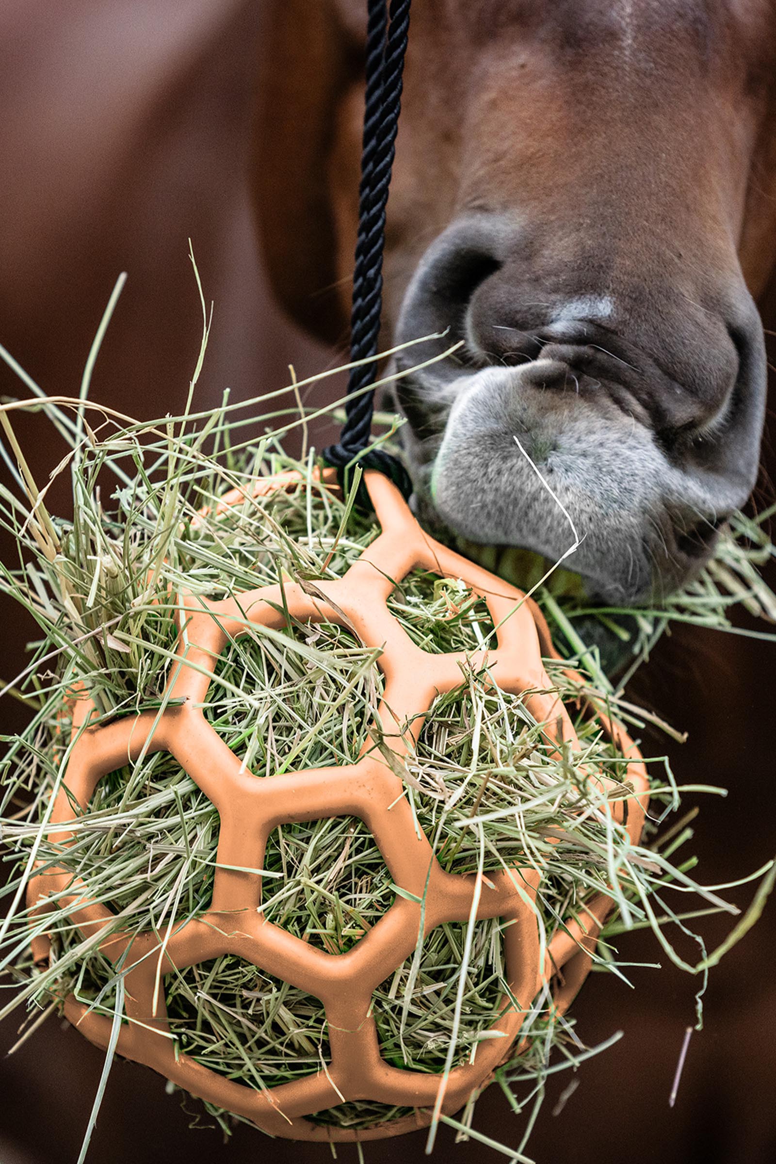 Peach Waldhausen pelota de heno